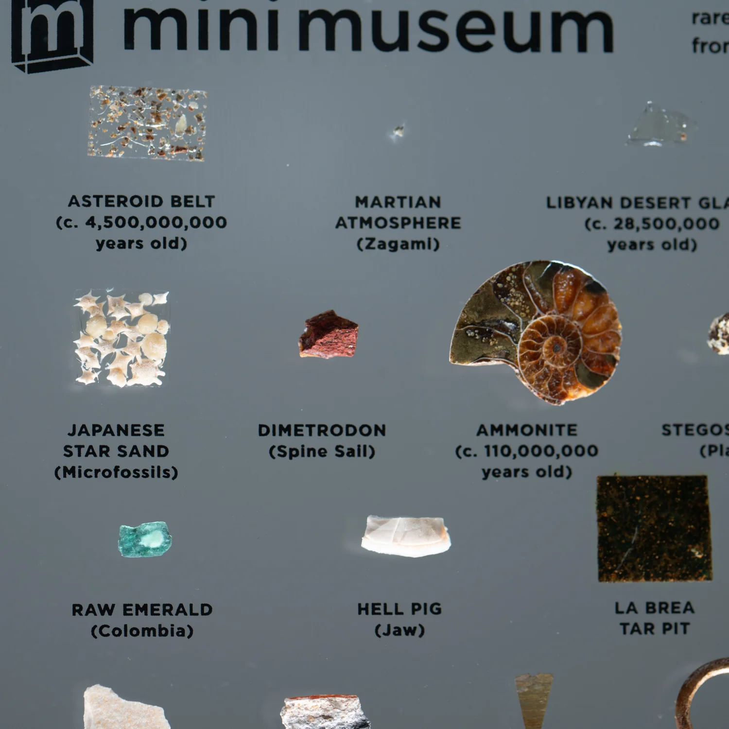 Mini Museum Out of the Vault - Second Edition ID #494 (LARGE - 26 Specimens) - Image 12