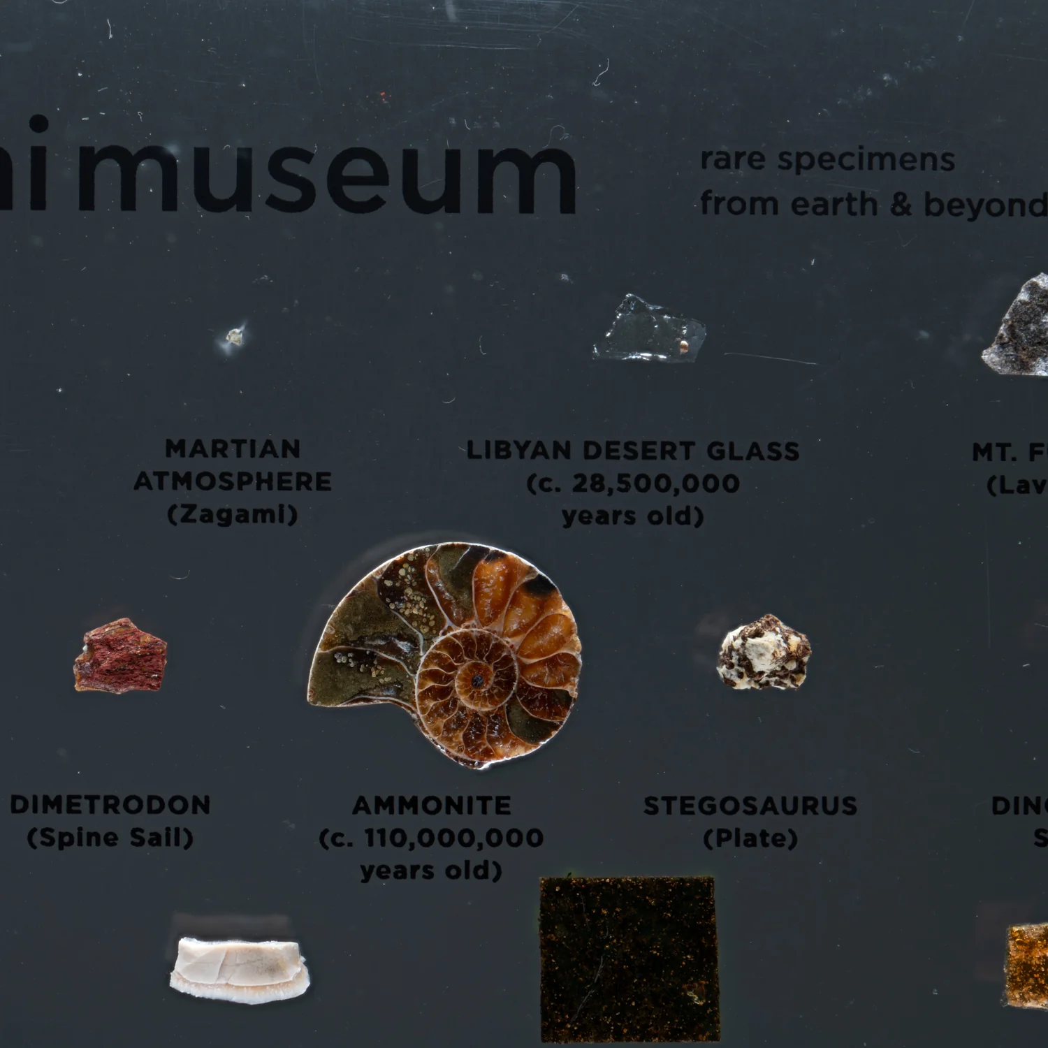 Mini Museum Out of the Vault - Second Edition ID #494 (LARGE - 26 Specimens) - Image 16