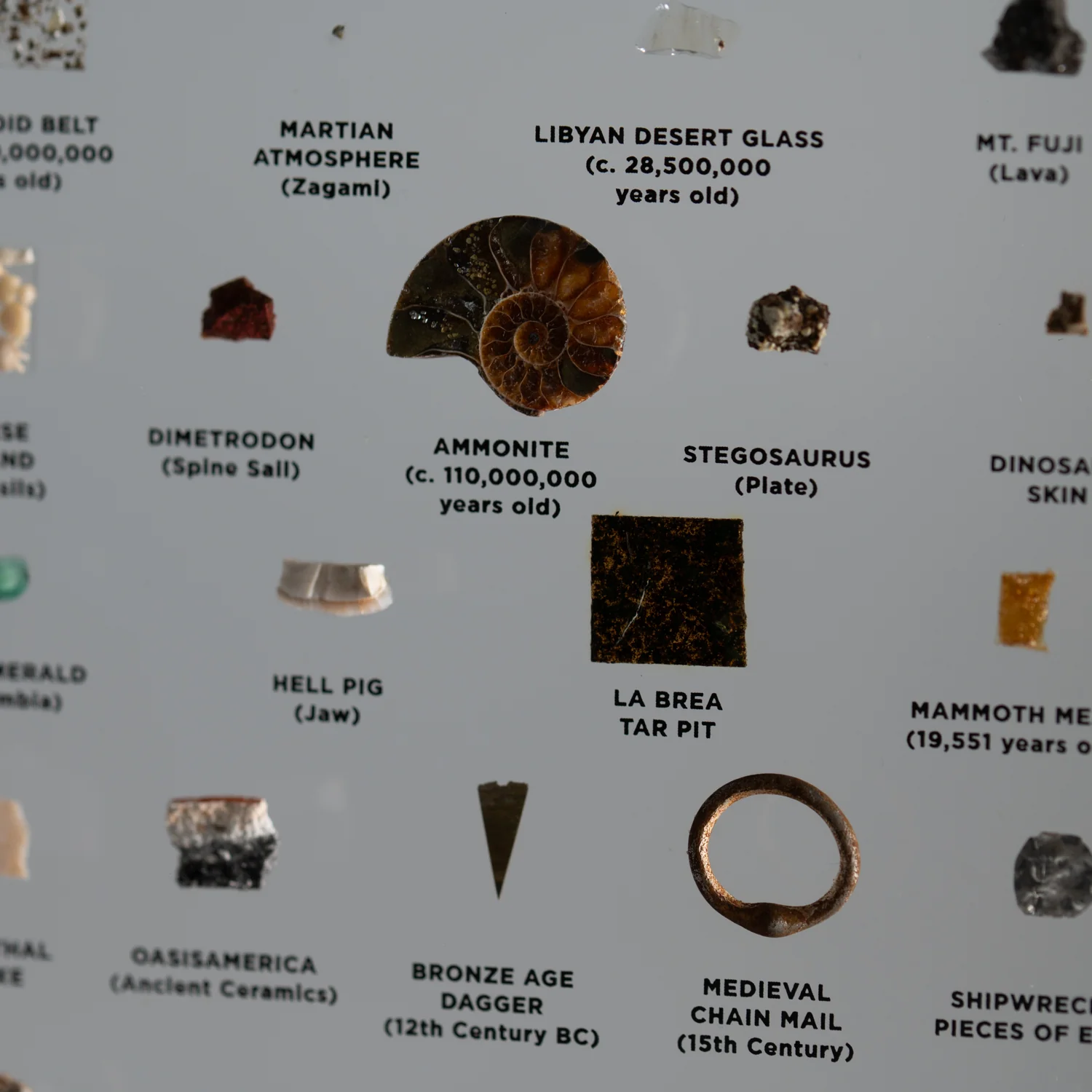 Mini Museum Out of the Vault - Second Edition ID #494 (LARGE - 26 Specimens) - Image 17