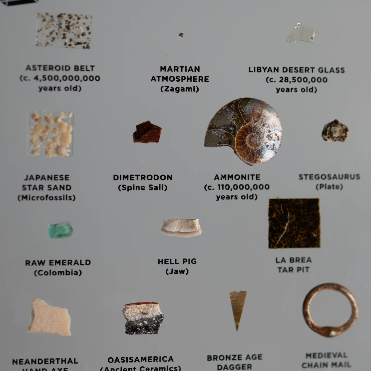 Mini Museum Out of the Vault - Second Edition ID #494 (LARGE - 26 Specimens) - Image 19