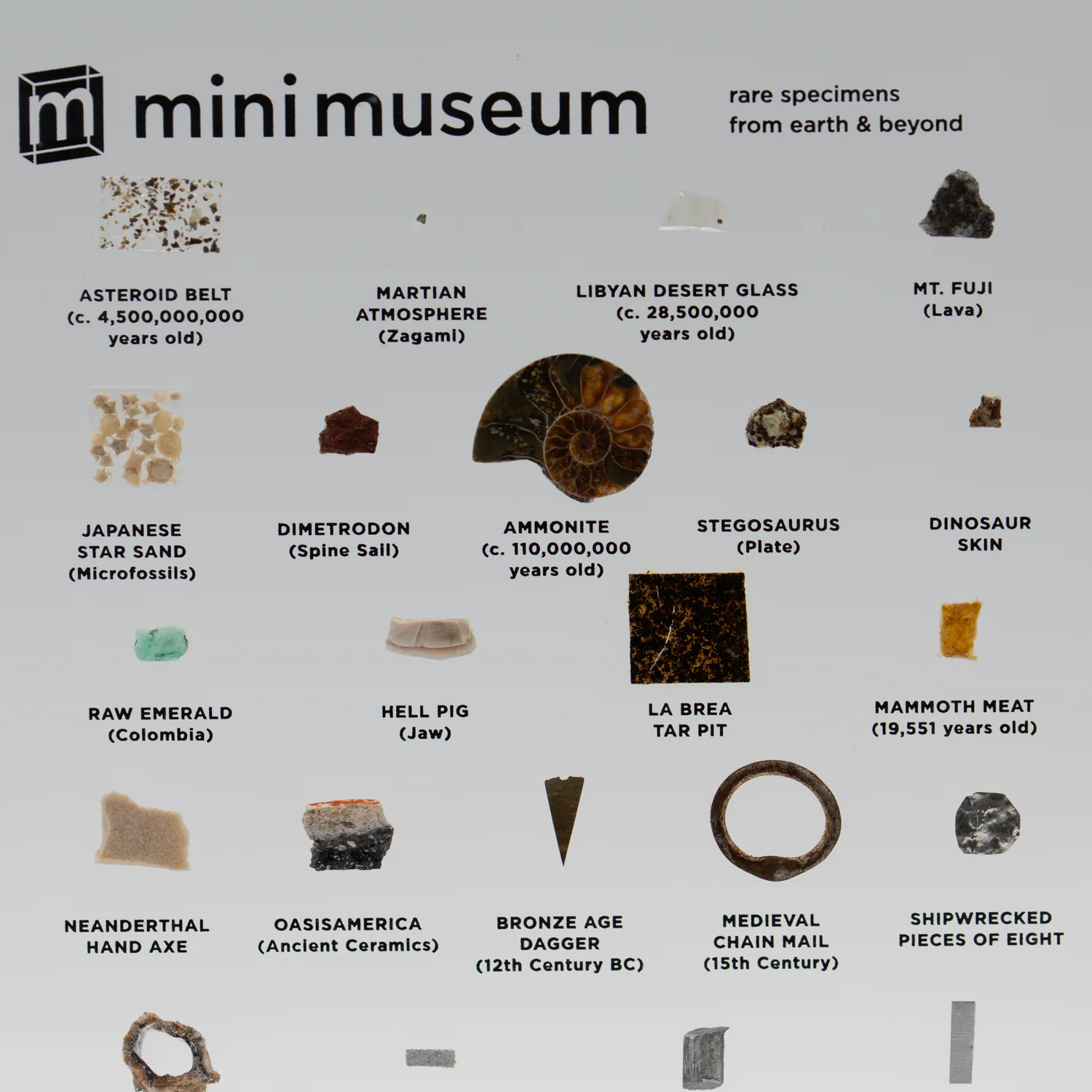 Mini Museum Out of the Vault - Second Edition ID #494 (LARGE - 26 Specimens) - Image 4