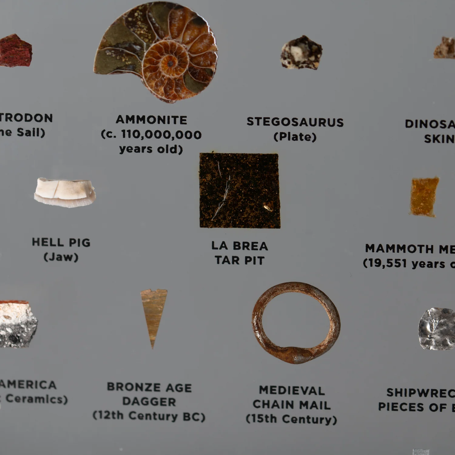 Mini Museum Out of the Vault - Second Edition ID #494 (LARGE - 26 Specimens) - Image 9