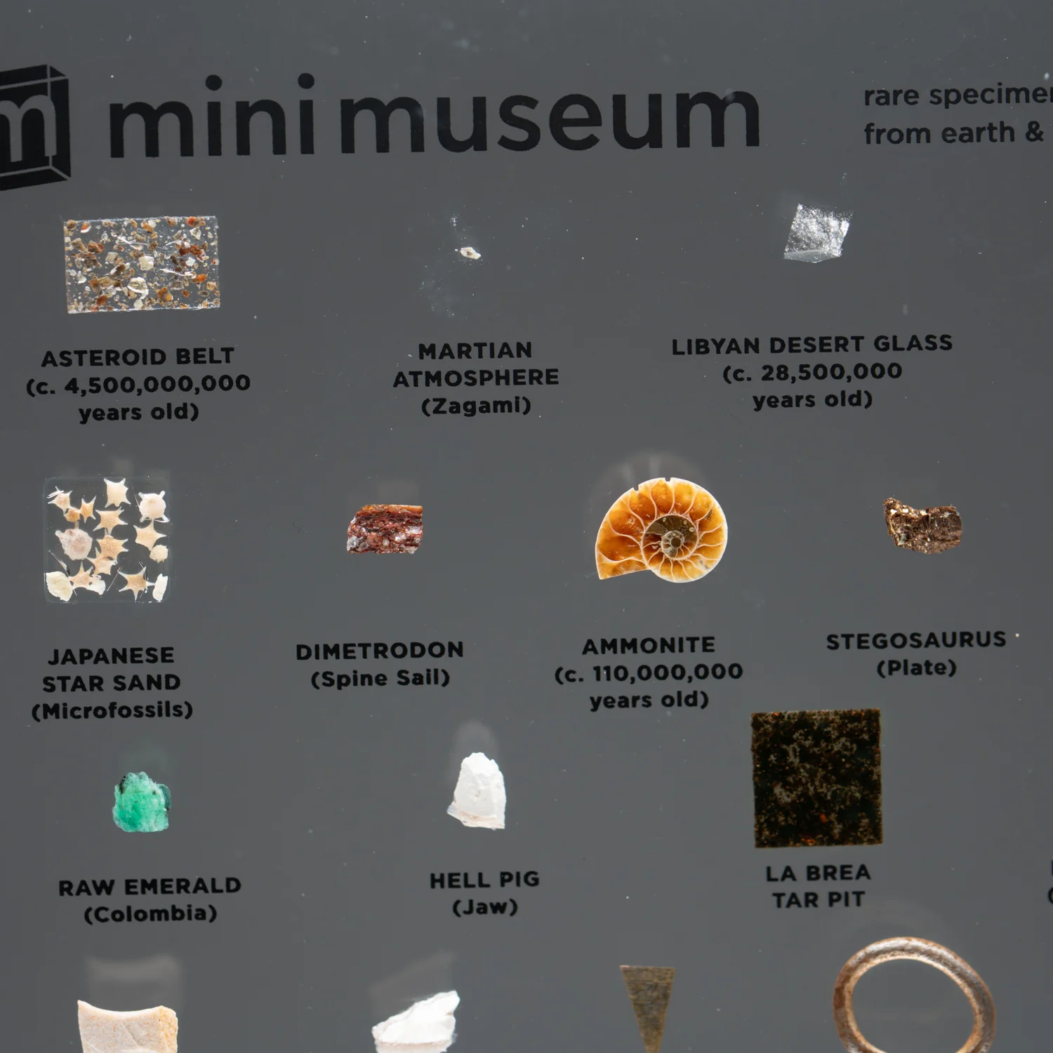 Mini Museum Out of the Vault - Second Edition ID #497 (LARGE - 26 Specimens) - Image 11