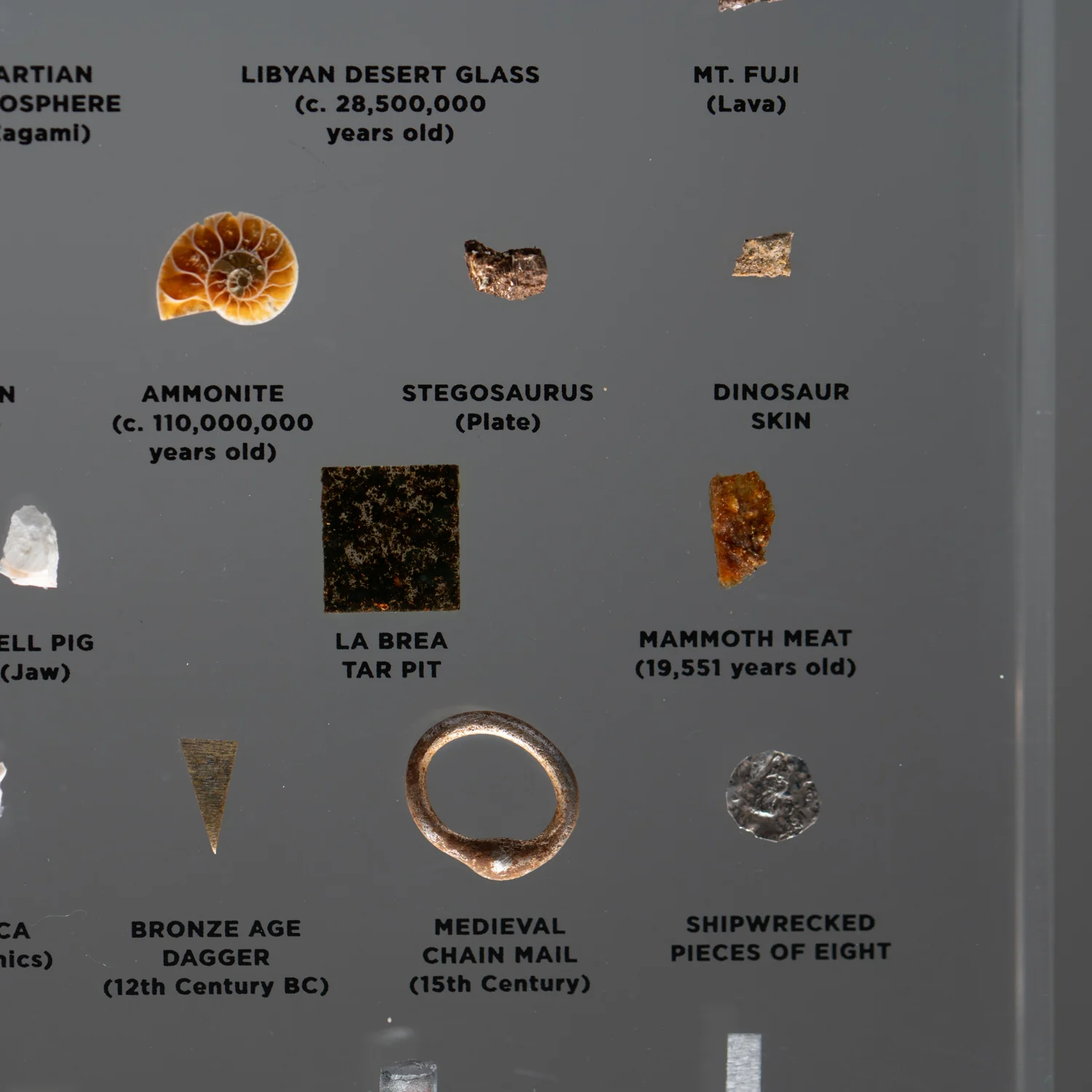 Mini Museum Out of the Vault - Second Edition ID #497 (LARGE - 26 Specimens) - Image 12