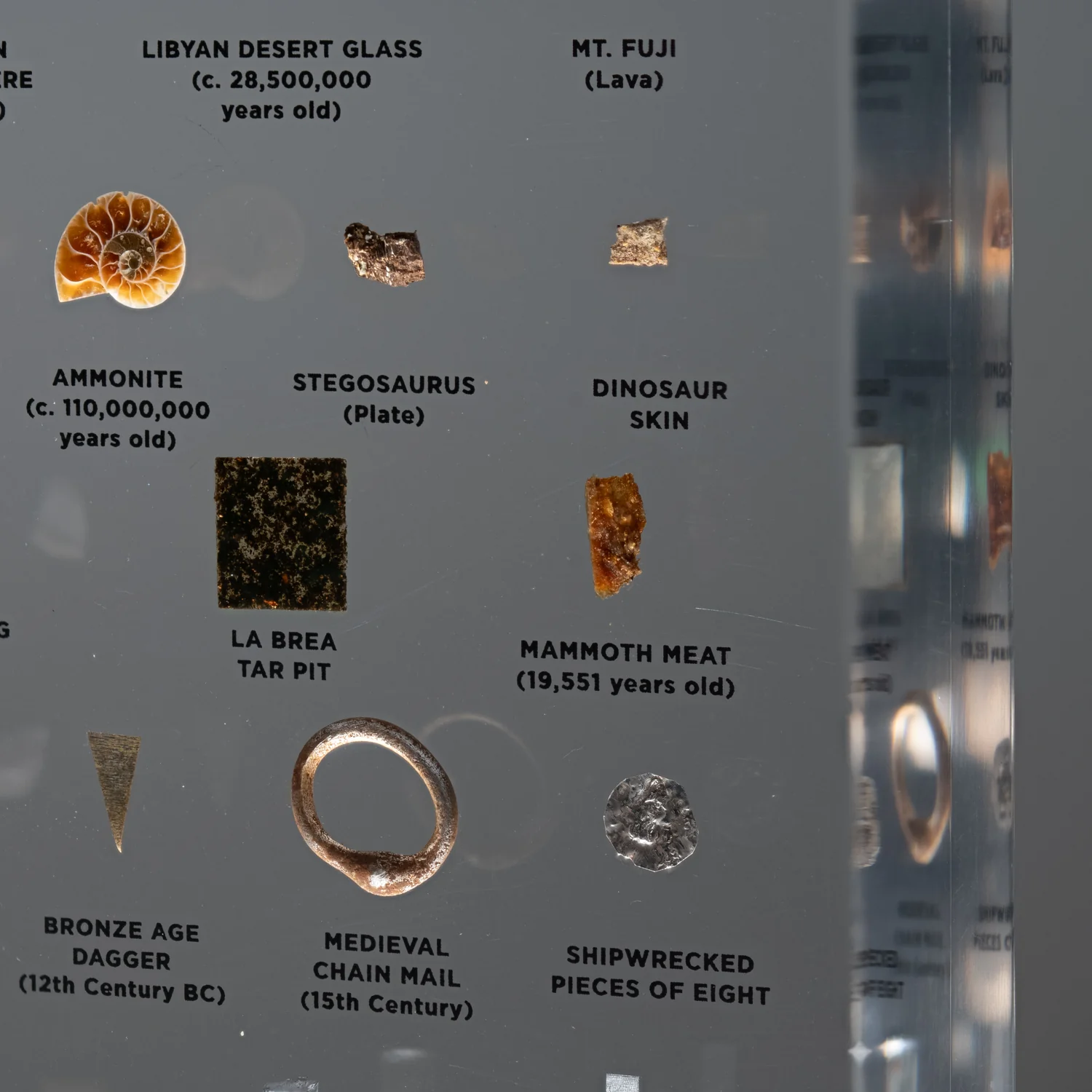 Mini Museum Out of the Vault - Second Edition ID #497 (LARGE - 26 Specimens) - Image 13