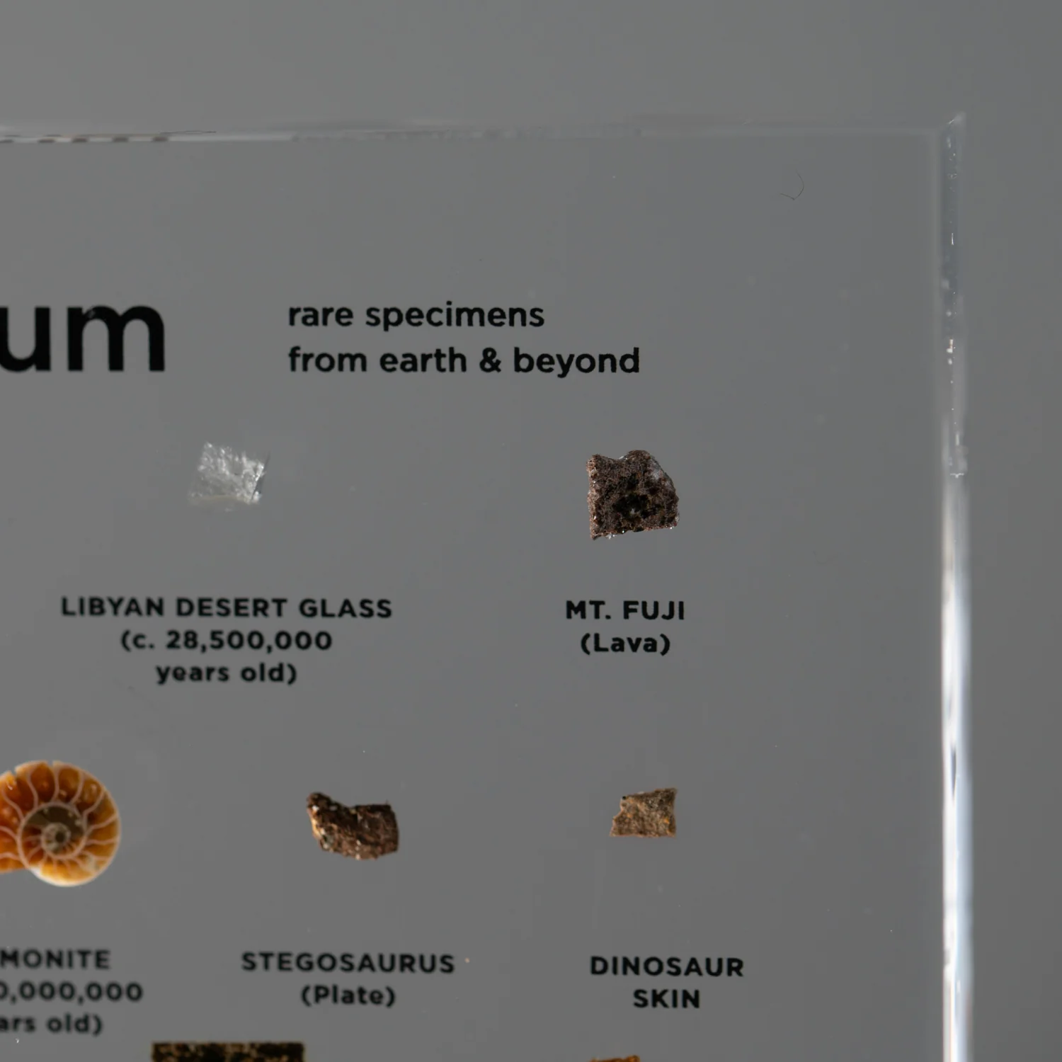 Mini Museum Out of the Vault - Second Edition ID #497 (LARGE - 26 Specimens) - Image 14