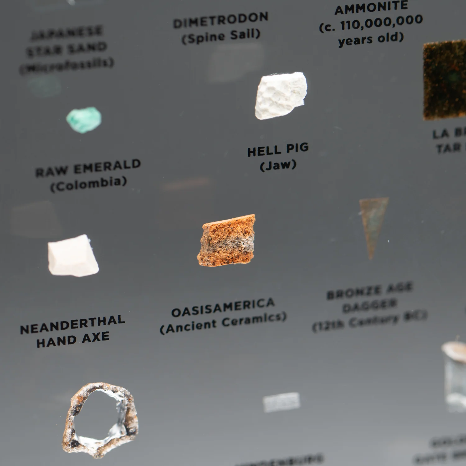 Mini Museum Out of the Vault - Second Edition ID #508 (LARGE - 26 Specimens) - Image 11