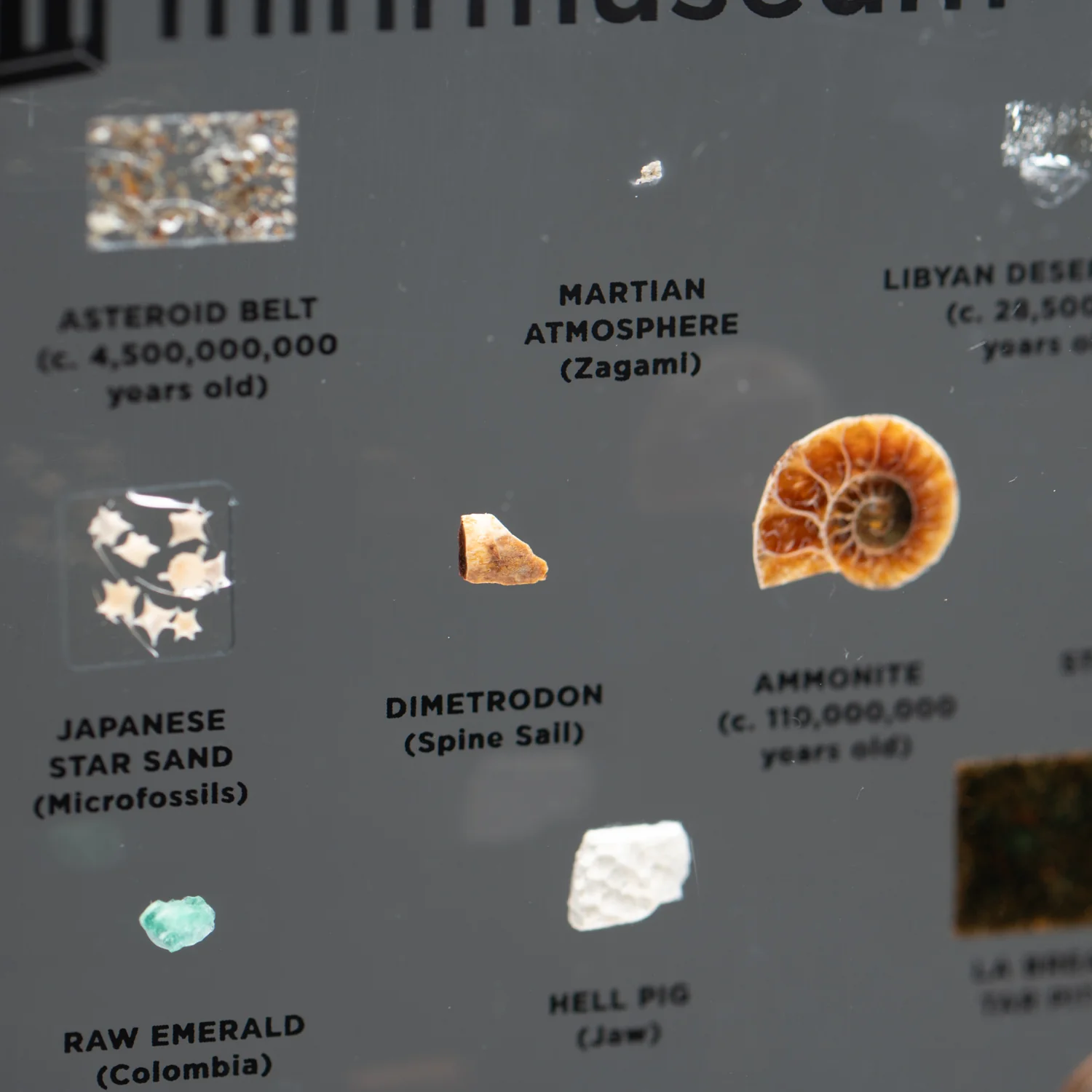 Mini Museum Out of the Vault - Second Edition ID #508 (LARGE - 26 Specimens) - Image 13