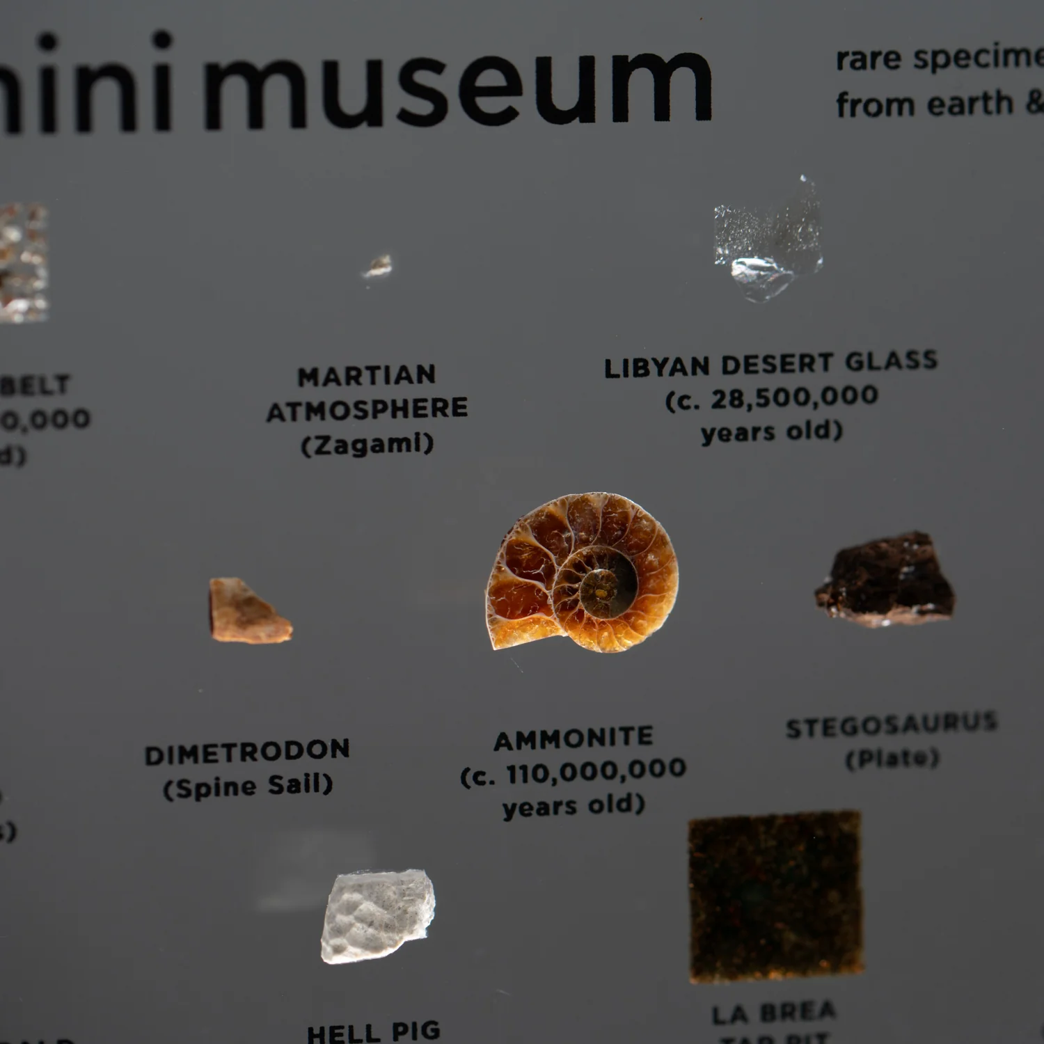 Mini Museum Out of the Vault - Second Edition ID #508 (LARGE - 26 Specimens) - Image 14