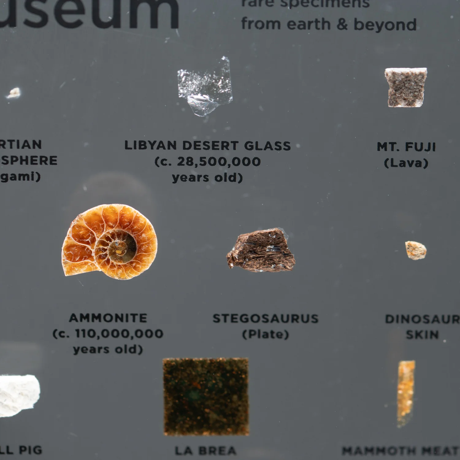 Mini Museum Out of the Vault - Second Edition ID #508 (LARGE - 26 Specimens) - Image 16