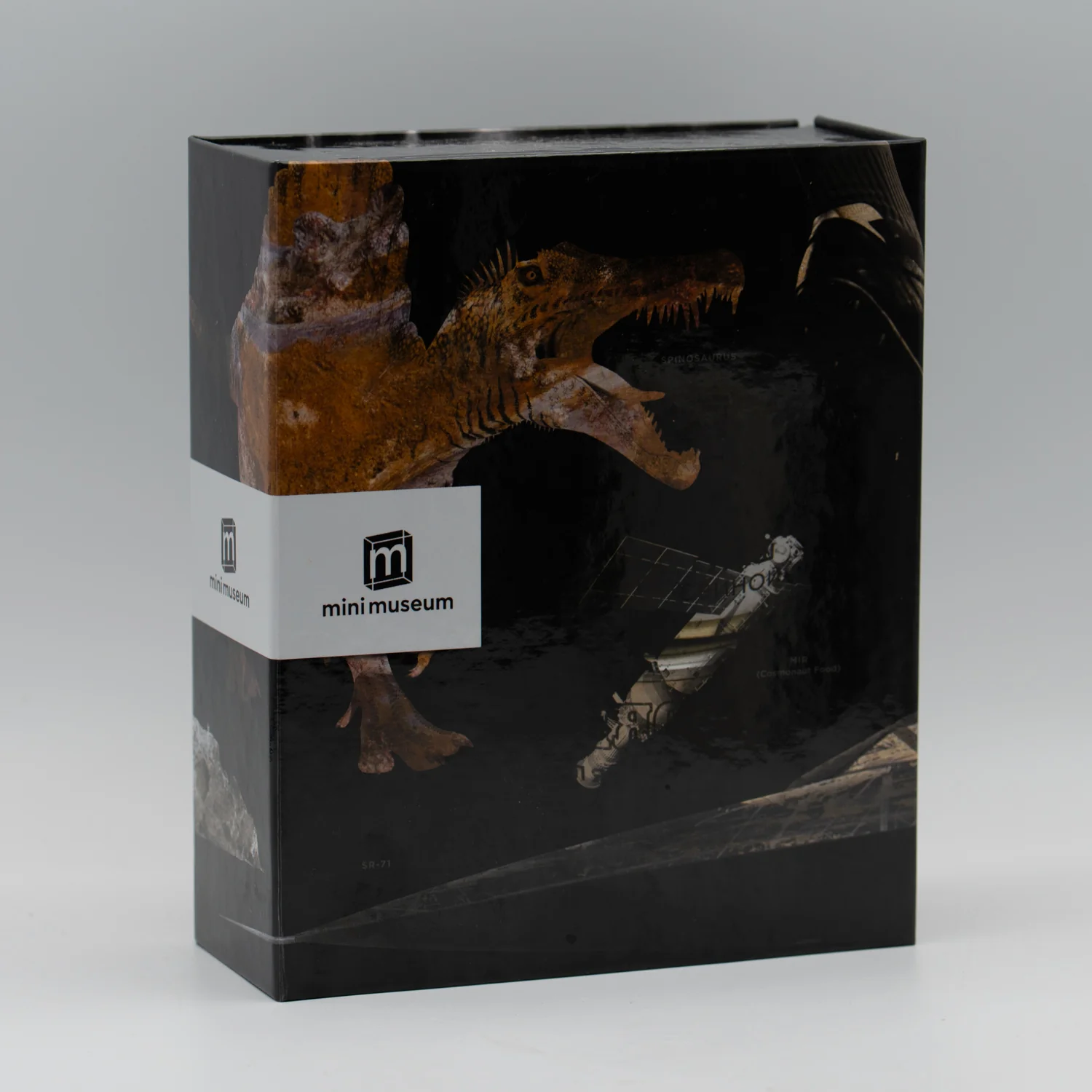 Mini Museum Out of the Vault - Third Edition ID #2407 (LARGE - 29 Specimens) - Image 3