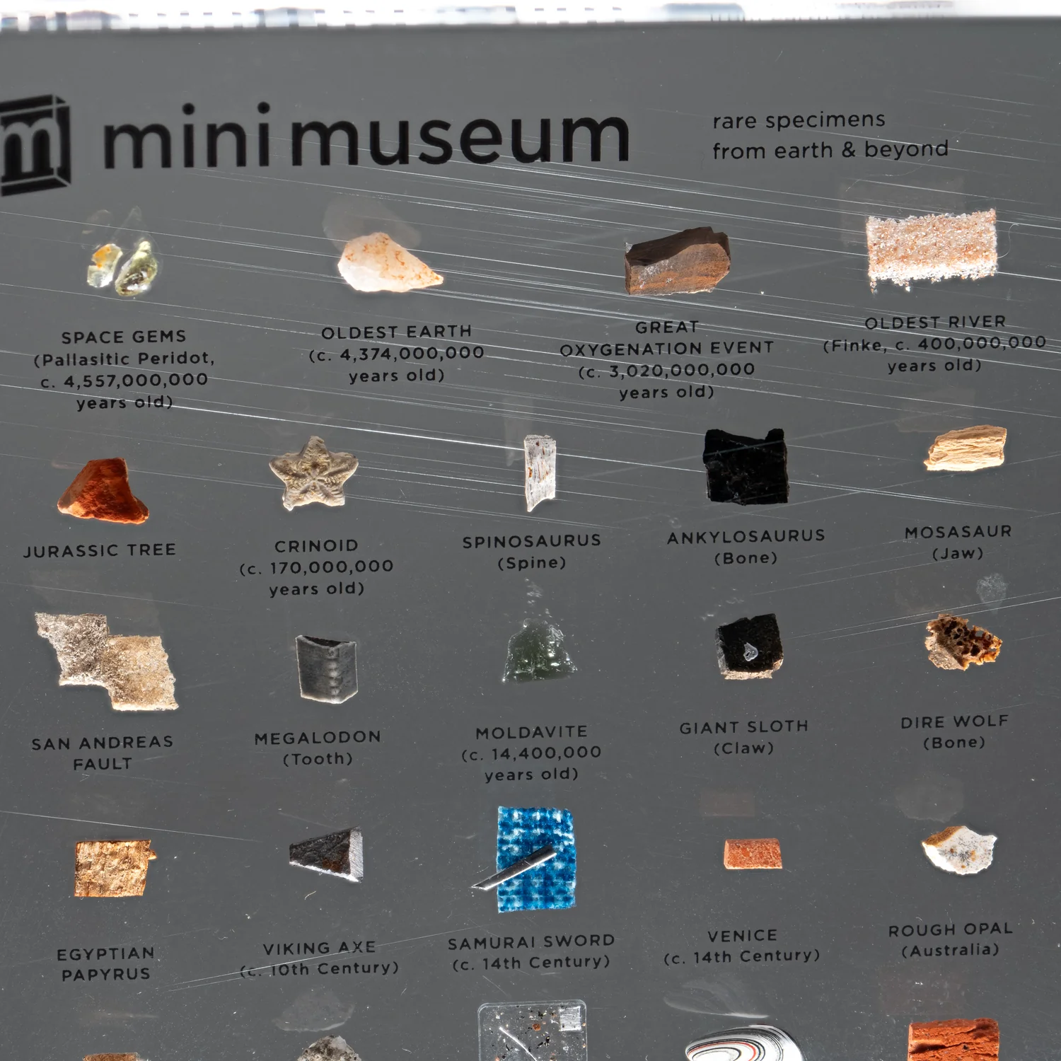 Mini Museum Out of the Vault - Third Edition ID #2407 (LARGE - 29 Specimens) - Image 8