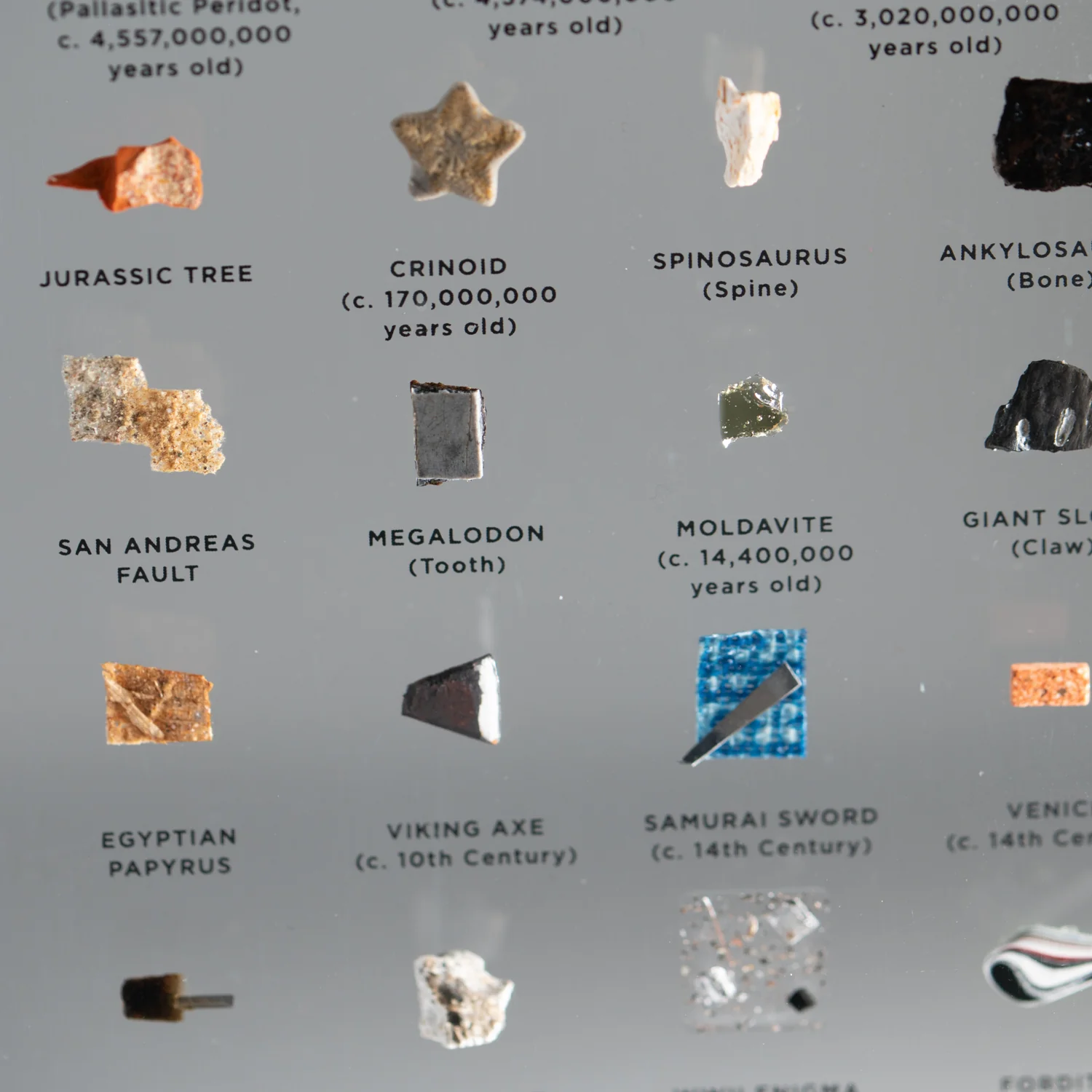 Mini Museum Out of the Vault - Third Edition ID #293 (LARGE - 29 Specimens) - Image 10