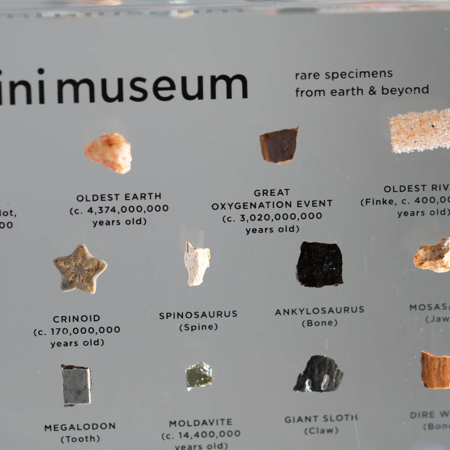 Mini Museum Out of the Vault - Third Edition ID #293 (LARGE - 29 Specimens) - Image 11