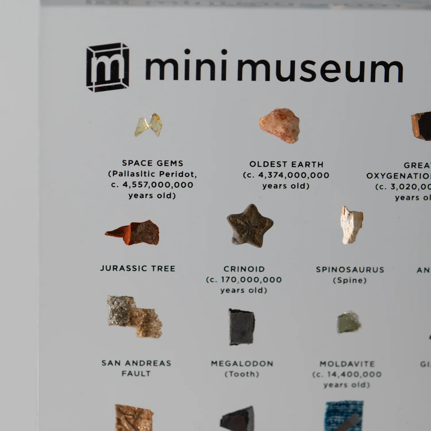 Mini Museum Out of the Vault - Third Edition ID #293 (LARGE - 29 Specimens) - Image 5