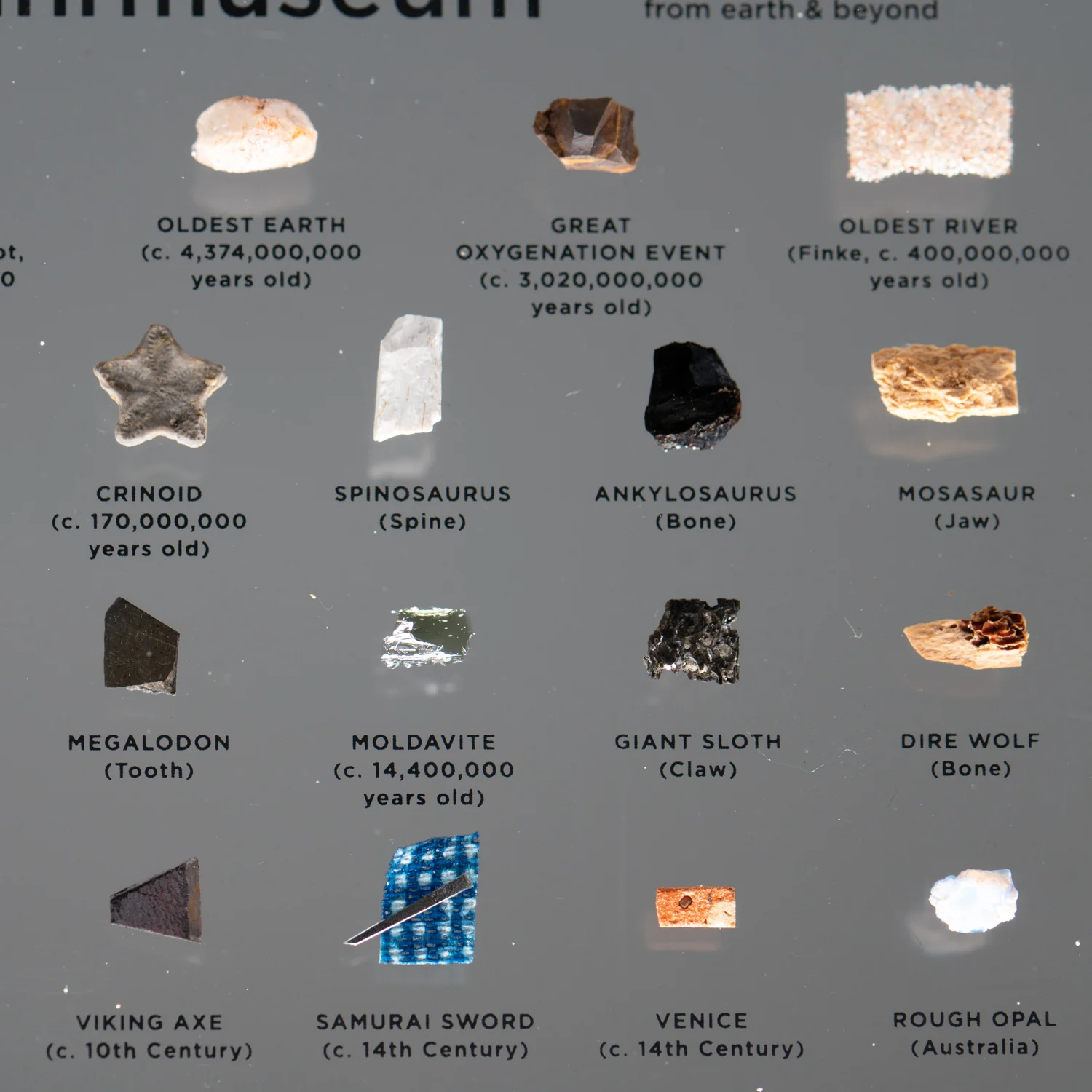 Mini Museum Out of the Vault - Third Edition ID #332 (LARGE - 29 Specimens) - Image 14
