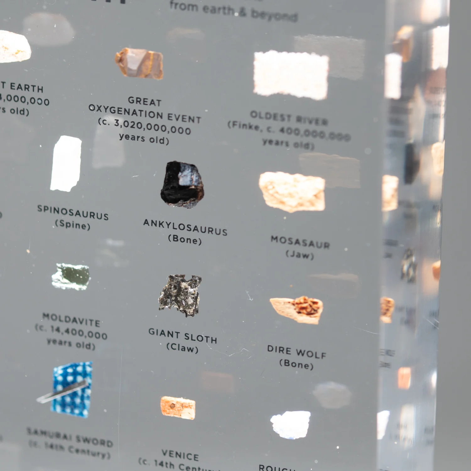 Mini Museum Out of the Vault - Third Edition ID #332 (LARGE - 29 Specimens) - Image 8