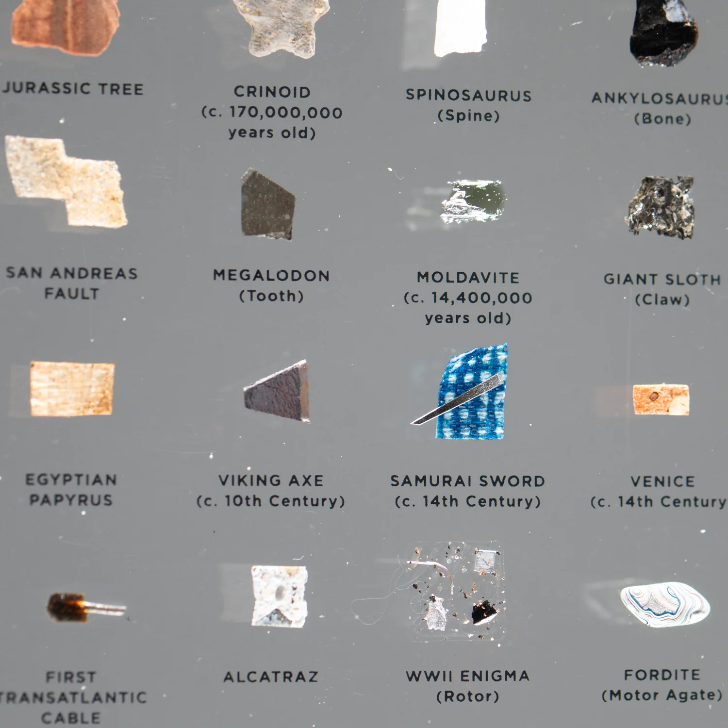 Mini Museum Out of the Vault - Third Edition ID #332 (LARGE - 29 Specimens) - Image 9