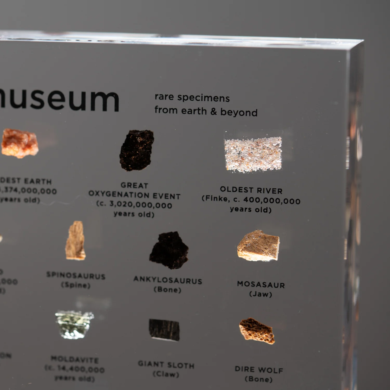 Mini Museum Out of the Vault - Third Edition ID #4160 (LARGE - 29 Specimens) - Image 11