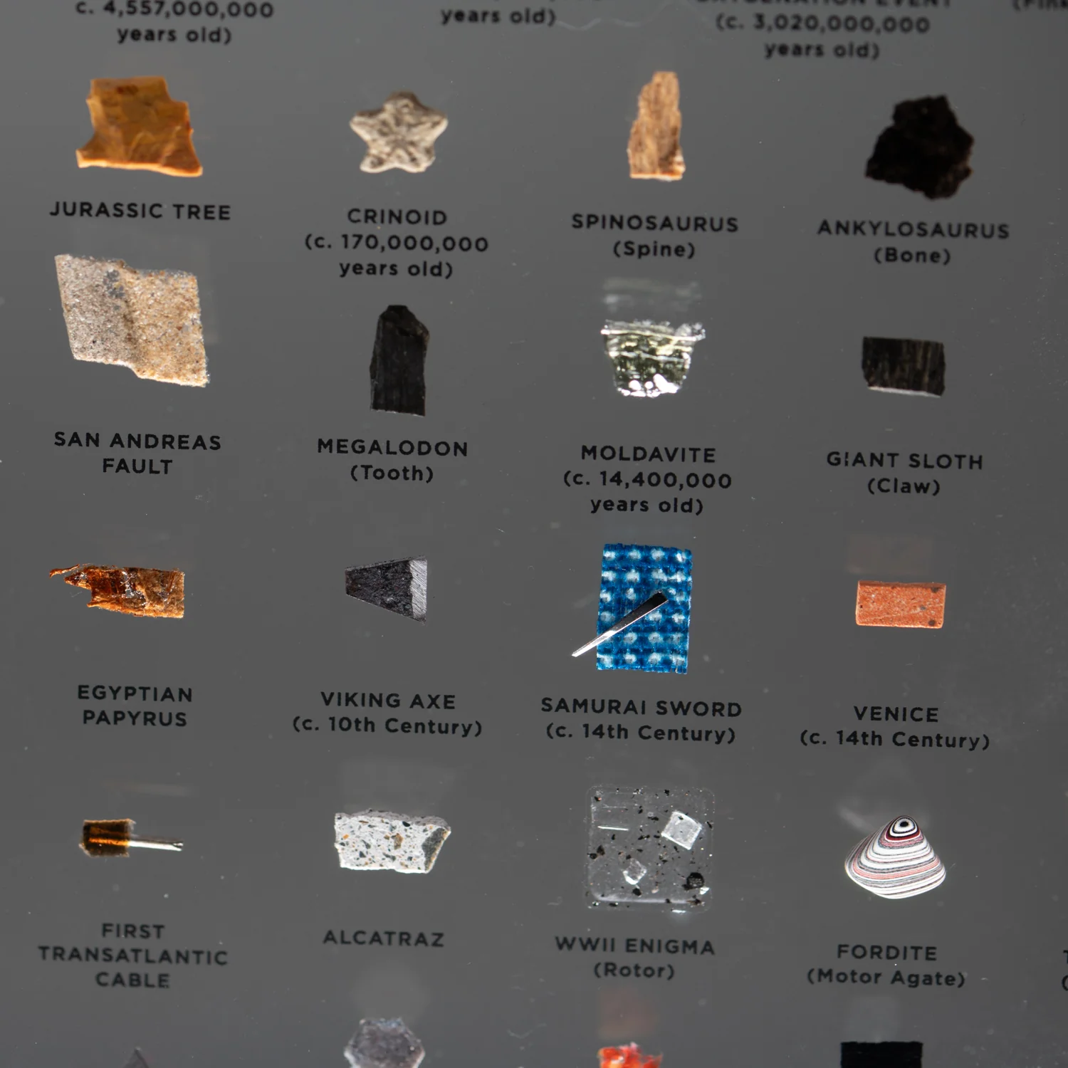 Mini Museum Out of the Vault - Third Edition ID #4160 (LARGE - 29 Specimens) - Image 12