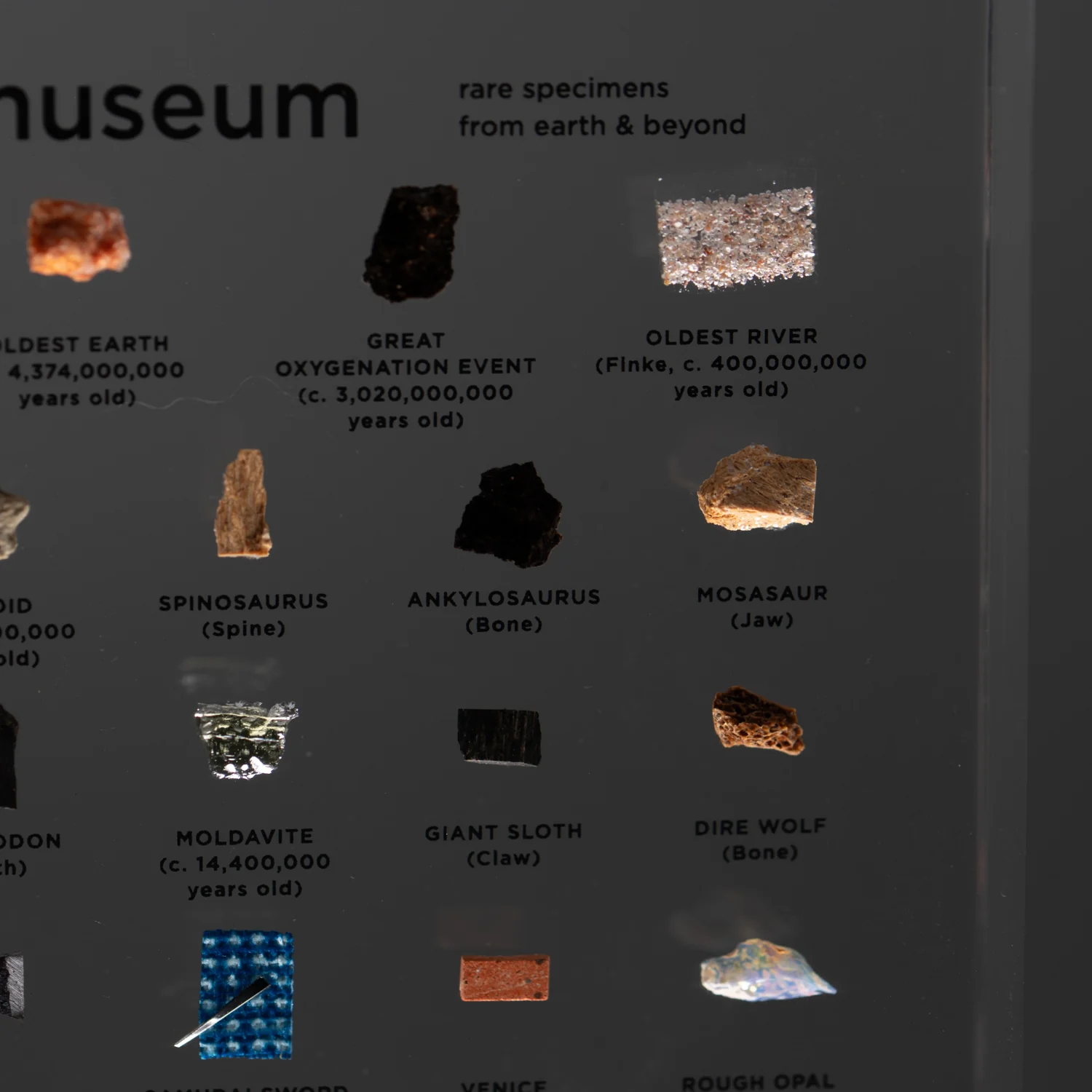 Mini Museum Out of the Vault - Third Edition ID #4160 (LARGE - 29 Specimens) - Image 17