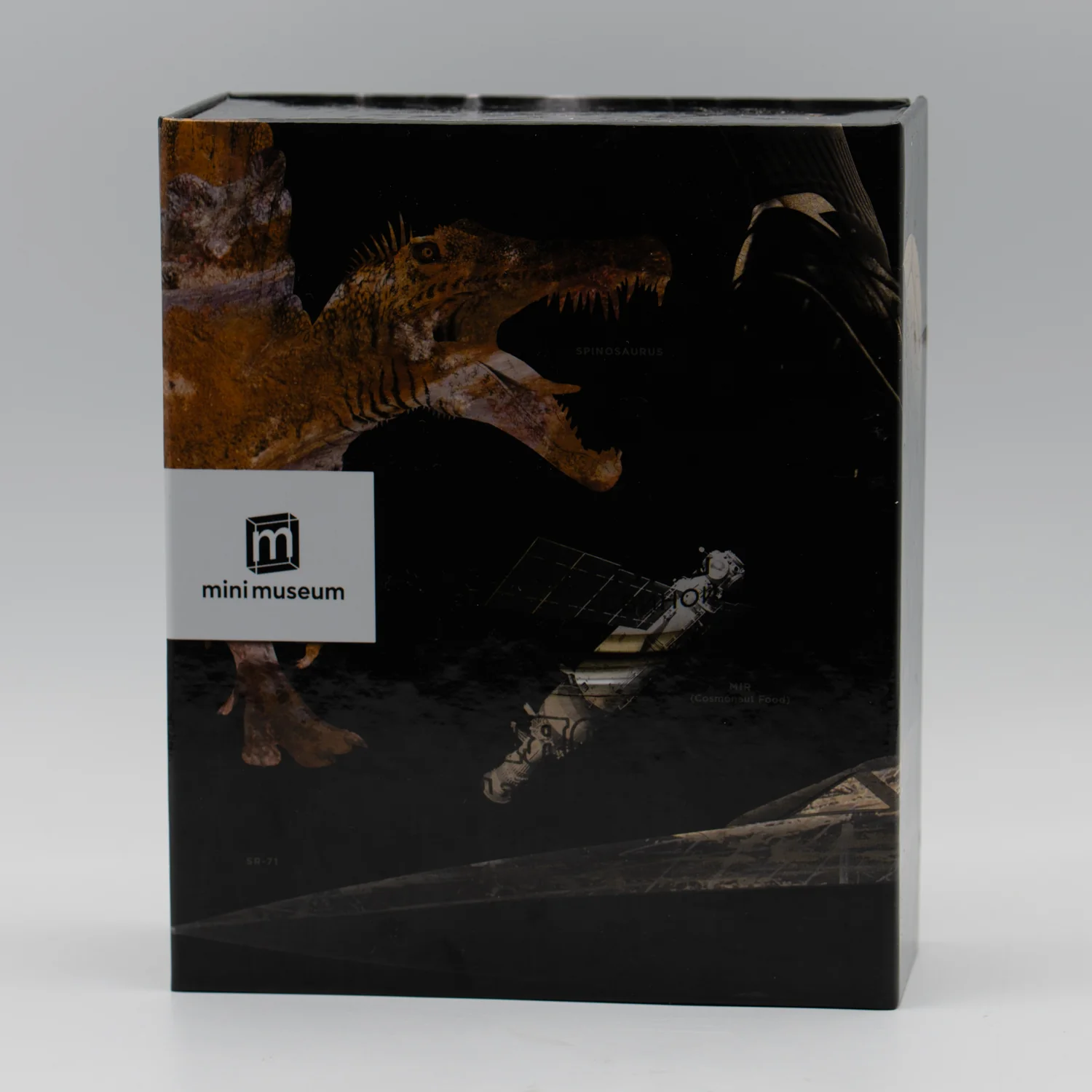 Mini Museum Out of the Vault - Third Edition ID #4160 (LARGE - 29 Specimens) - Image 3