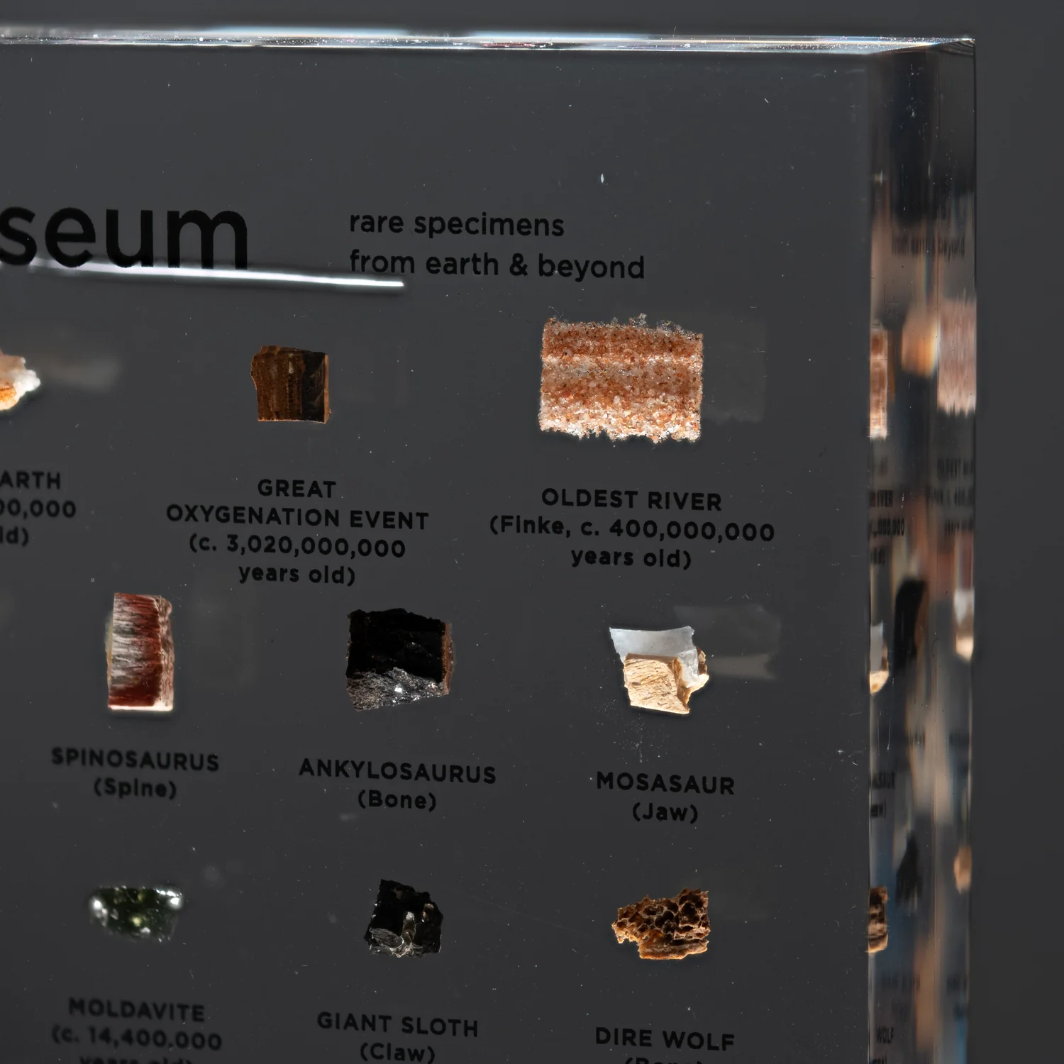Mini Museum Out of the Vault - Third Edition ID #6638 (LARGE - 29 Specimens) - Image 13