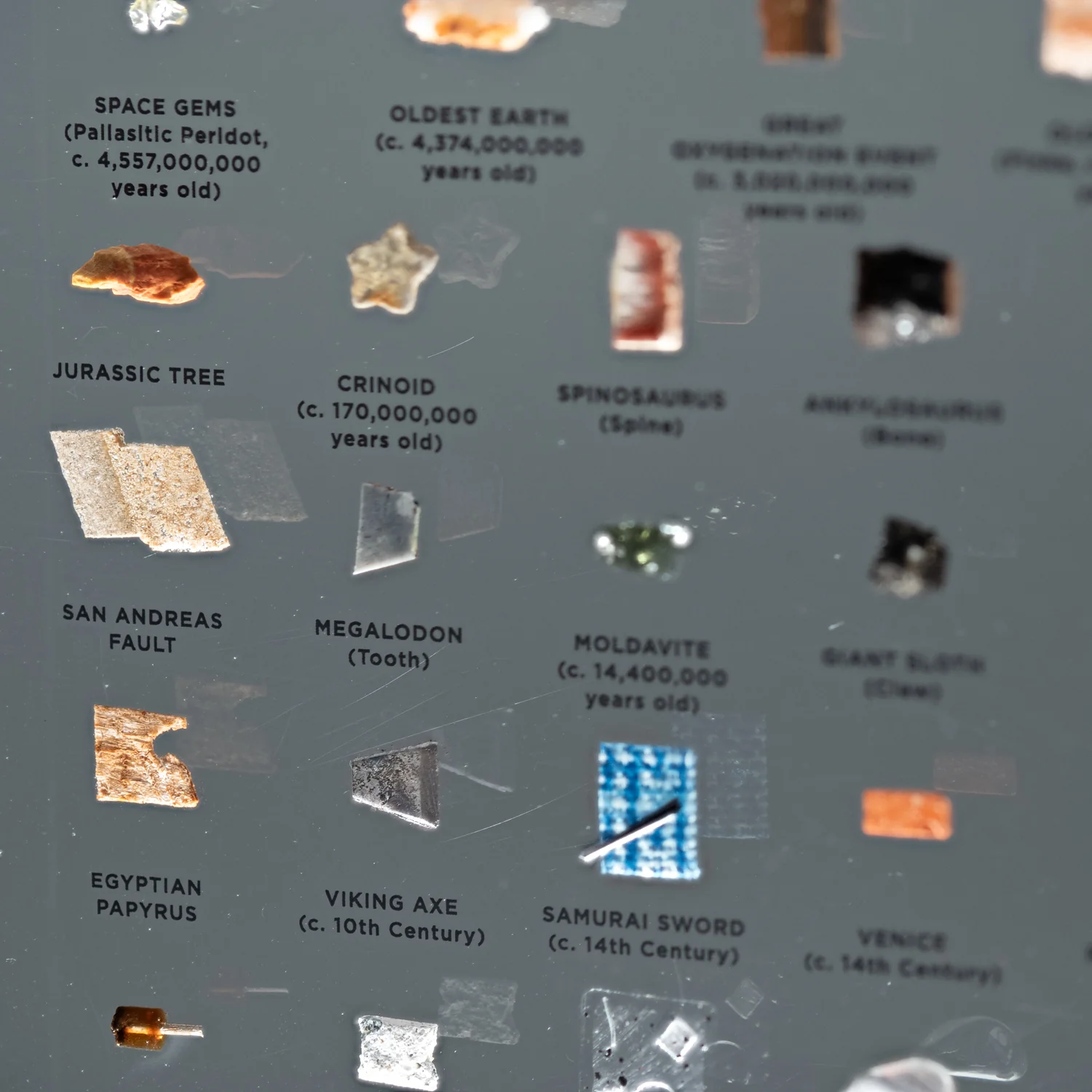 Mini Museum Out of the Vault - Third Edition ID #6638 (LARGE - 29 Specimens) - Image 14