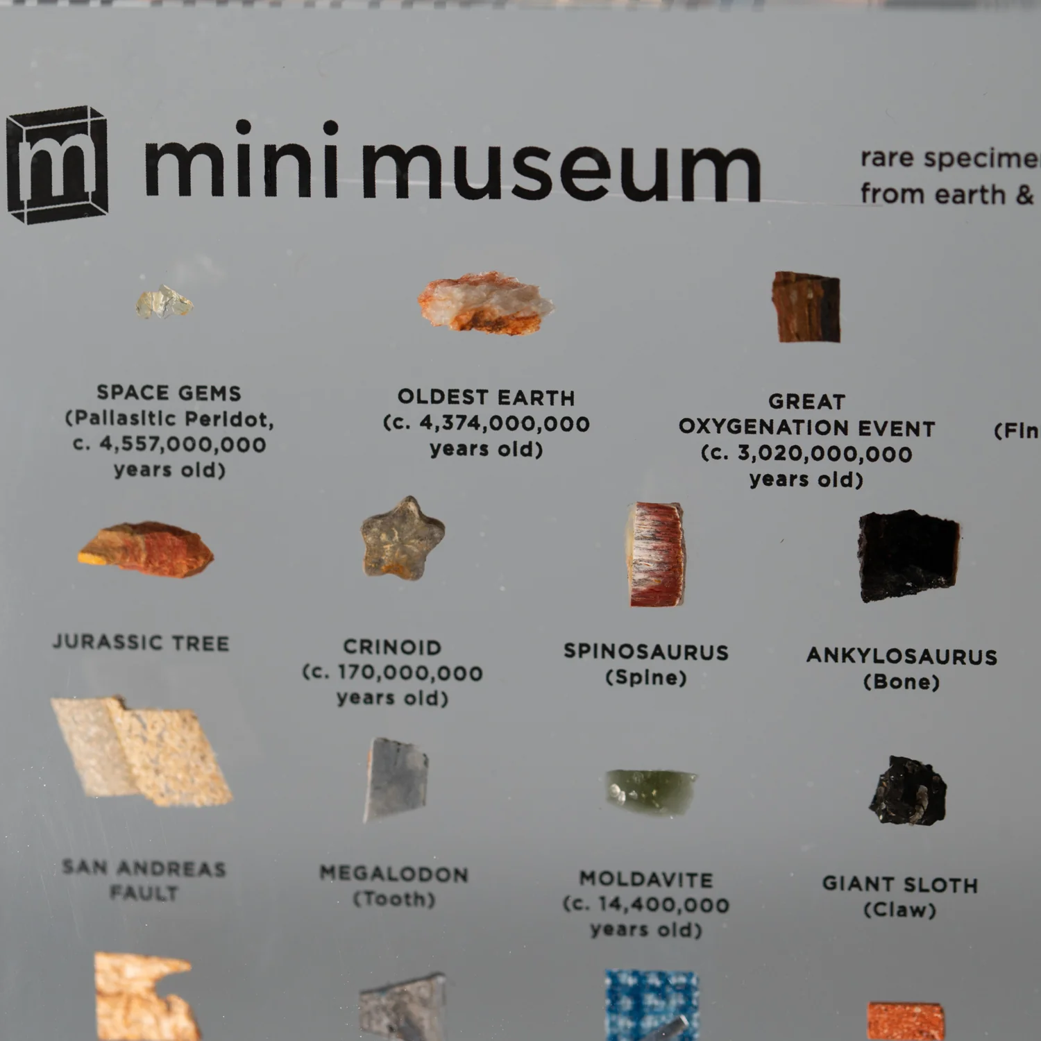 Mini Museum Out of the Vault - Third Edition ID #6638 (LARGE - 29 Specimens) - Image 15