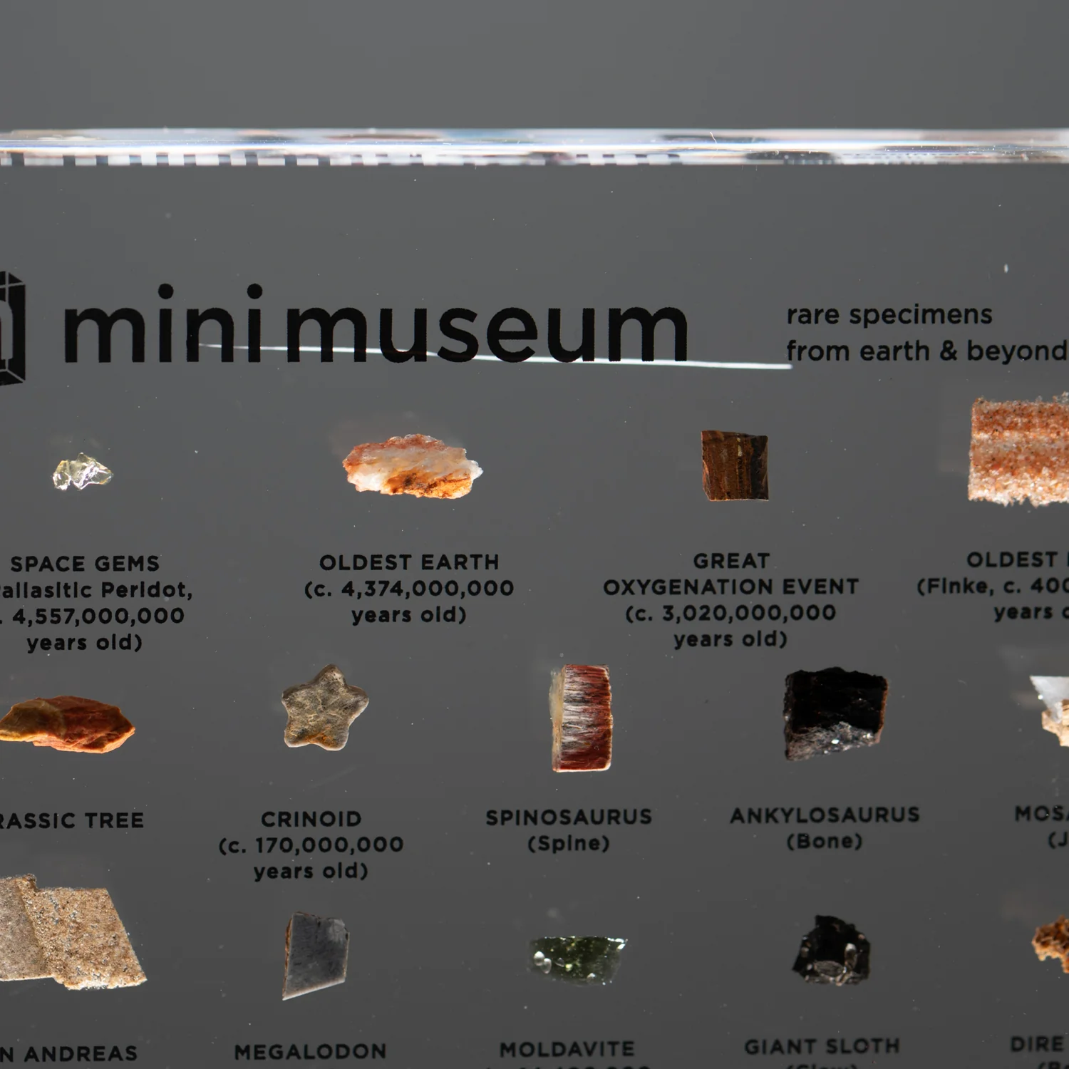 Mini Museum Out of the Vault - Third Edition ID #6638 (LARGE - 29 Specimens) - Image 6