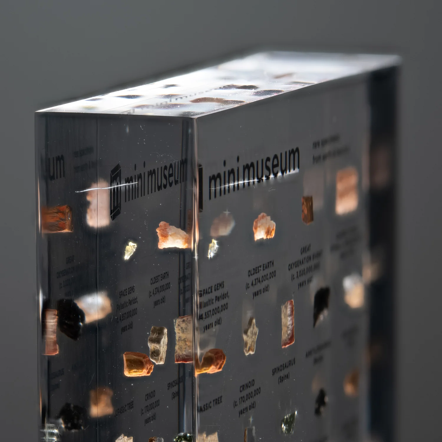Mini Museum Out of the Vault - Third Edition ID #6638 (LARGE - 29 Specimens) - Image 7
