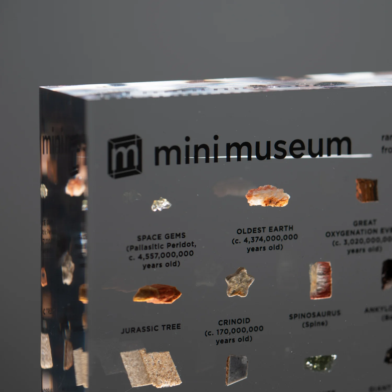 Mini Museum Out of the Vault - Third Edition ID #6638 (LARGE - 29 Specimens) - Image 8