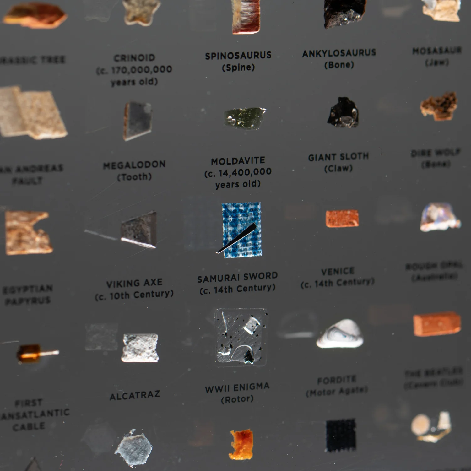 Mini Museum Out of the Vault - Third Edition ID #6638 (LARGE - 29 Specimens) - Image 9