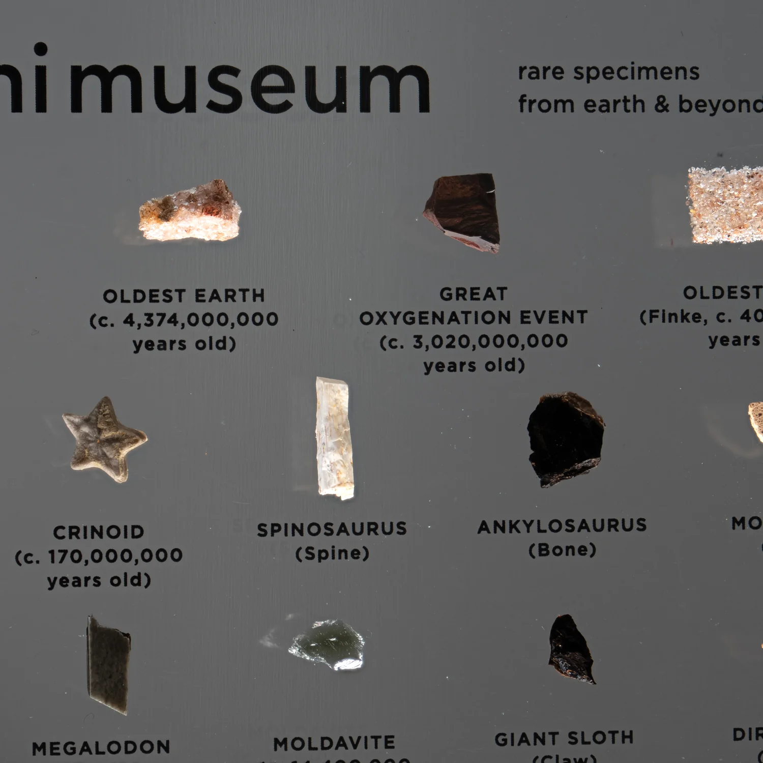 Mini Museum Out of the Vault - Third Edition ID #769 (LARGE - 29 Specimens) - Image 14