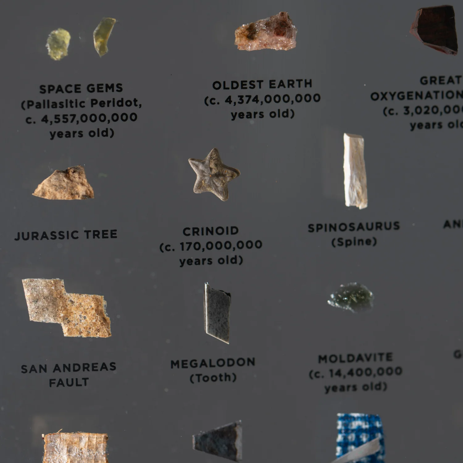 Mini Museum Out of the Vault - Third Edition ID #769 (LARGE - 29 Specimens) - Image 15