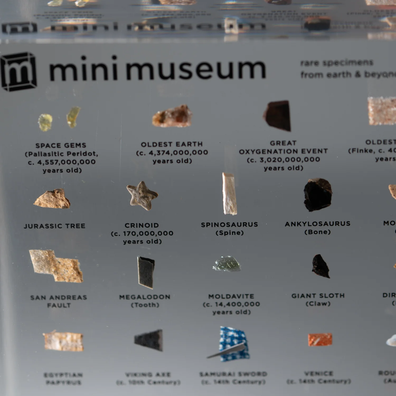 Mini Museum Out of the Vault - Third Edition ID #769 (LARGE - 29 Specimens) - Image 17