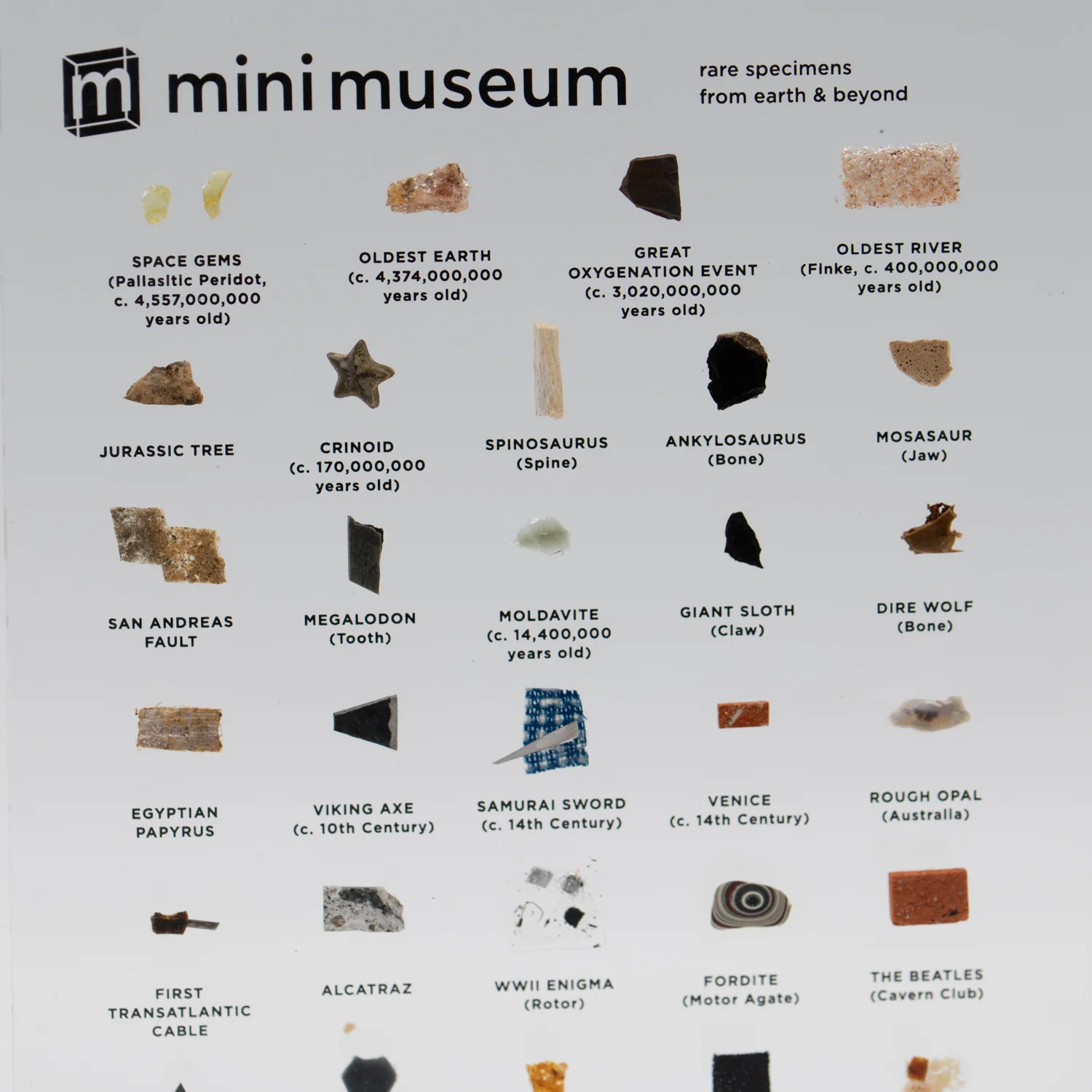 Mini Museum Out of the Vault - Third Edition ID #769 (LARGE - 29 Specimens) - Image 6