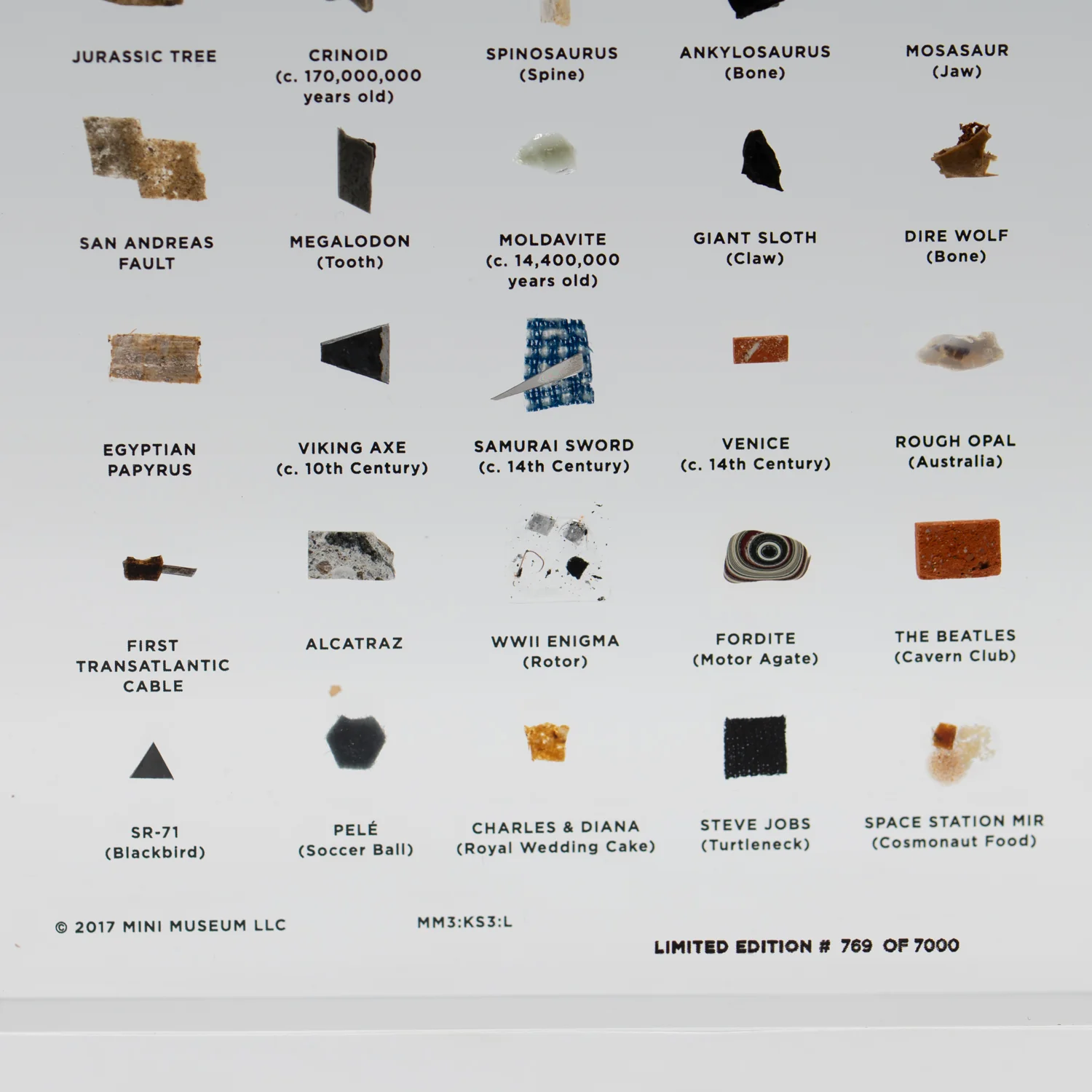 Mini Museum Out of the Vault - Third Edition ID #769 (LARGE - 29 Specimens) - Image 7