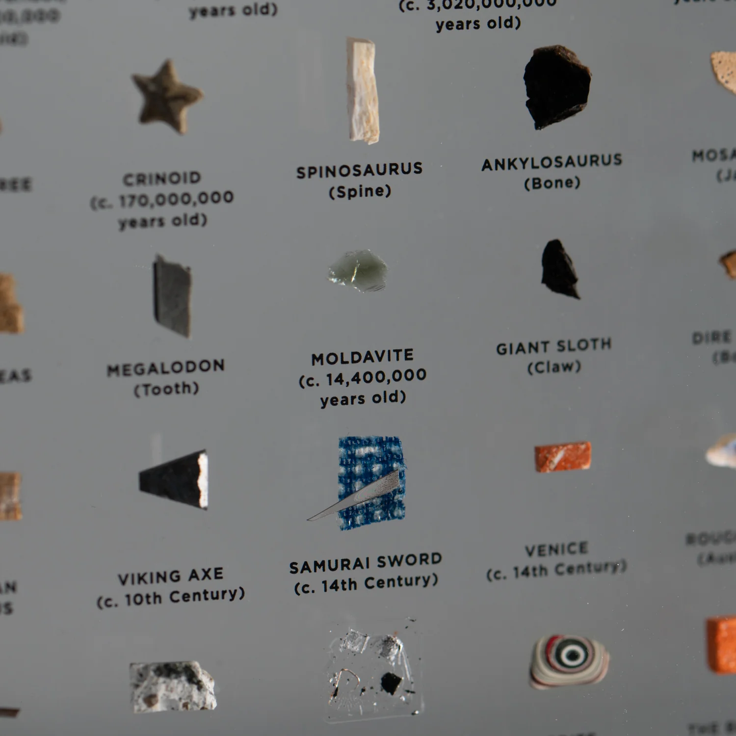 Mini Museum Out of the Vault - Third Edition ID #769 (LARGE - 29 Specimens) - Image 9
