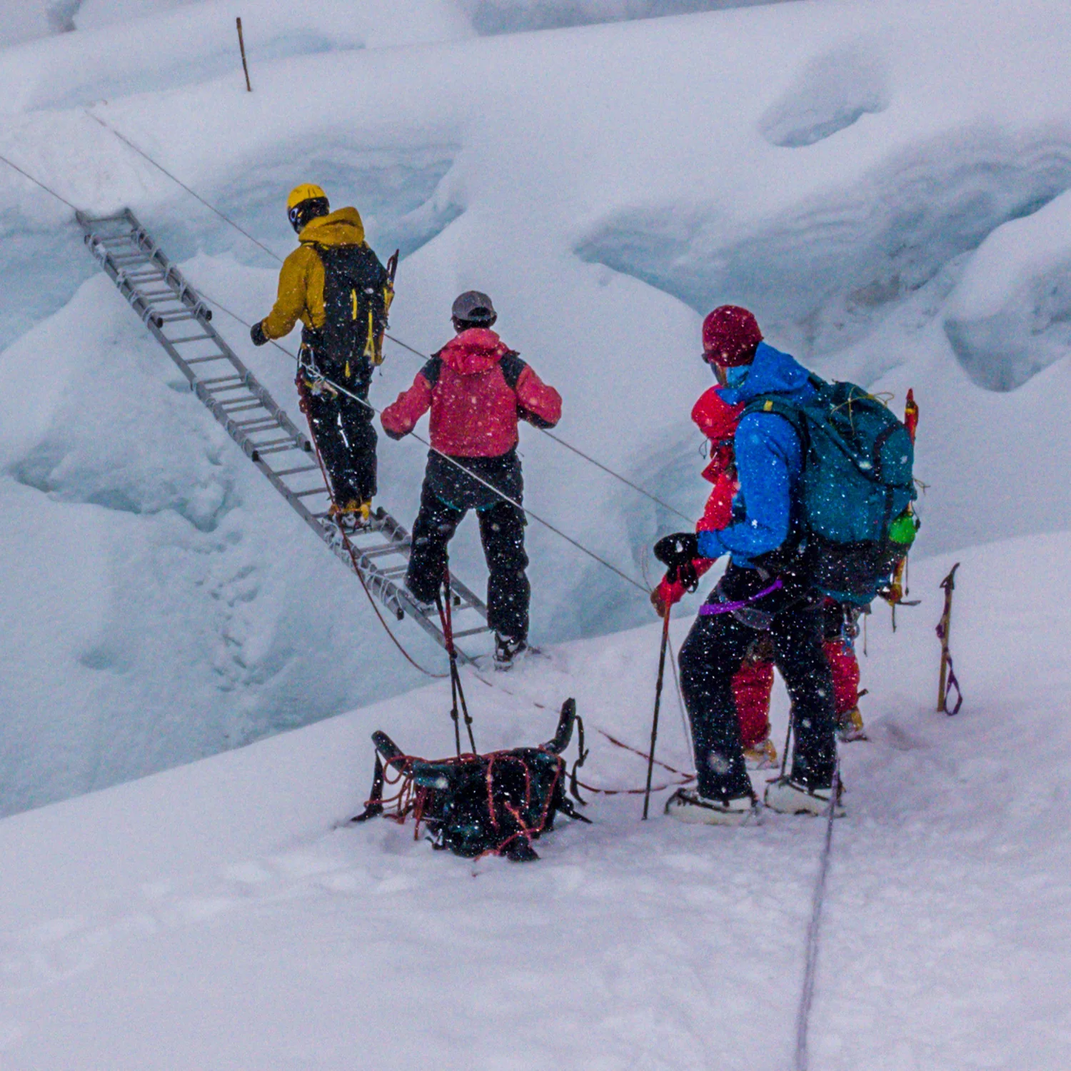 Mount Everest Ladder Rung - Image 2