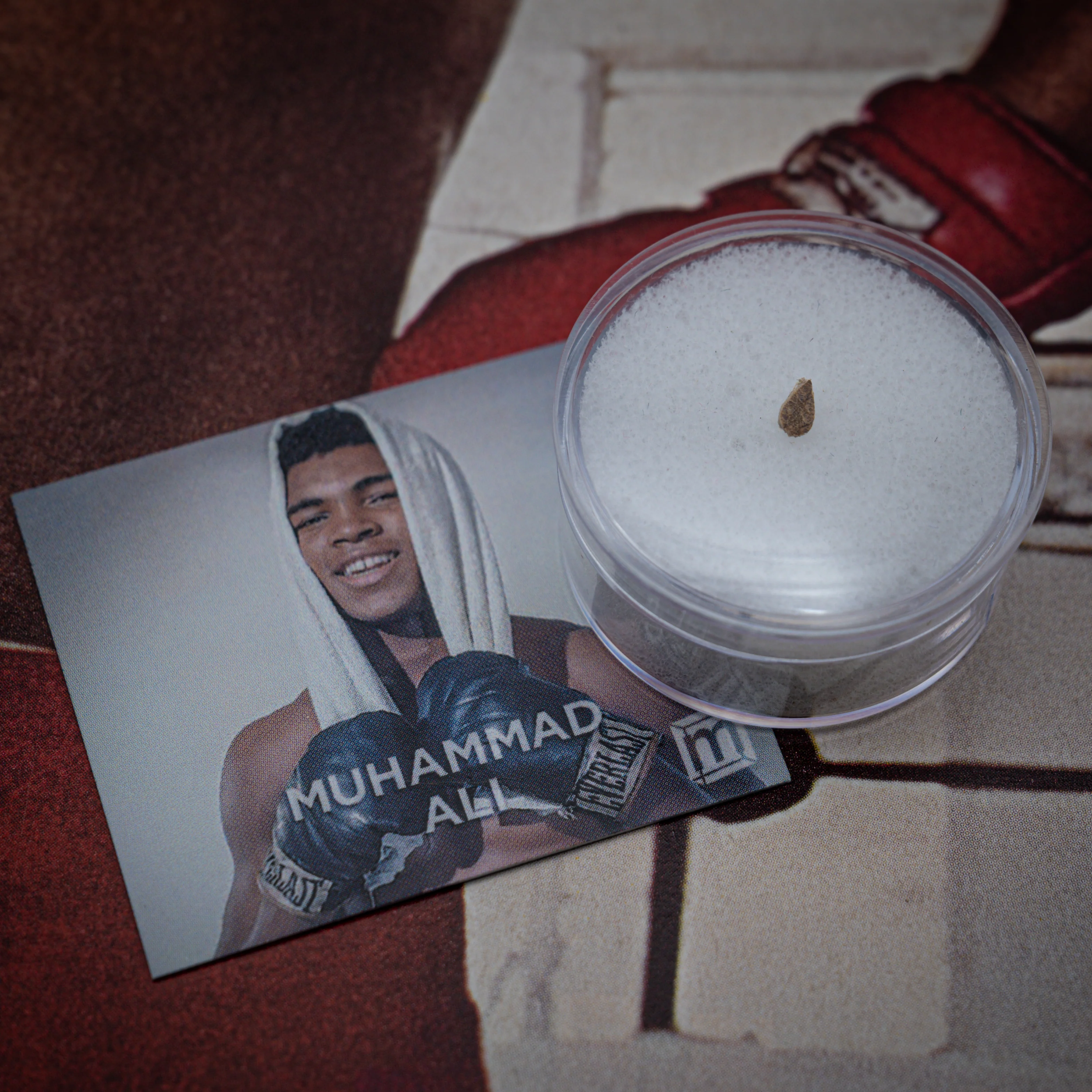 Muhammad Ali Punching Bag - Image 8