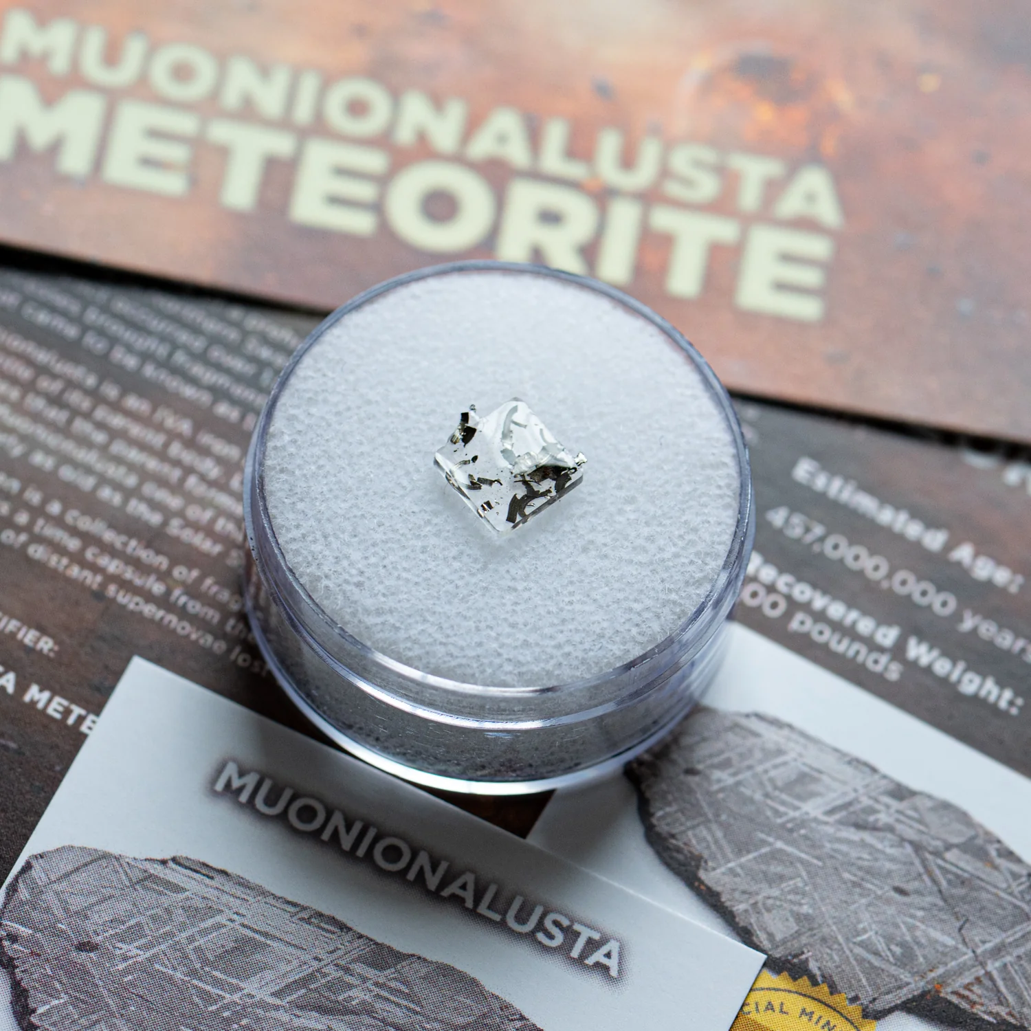 Muonionalusta Meteorite - Extraterrestrial Metal Fragments - Image 2