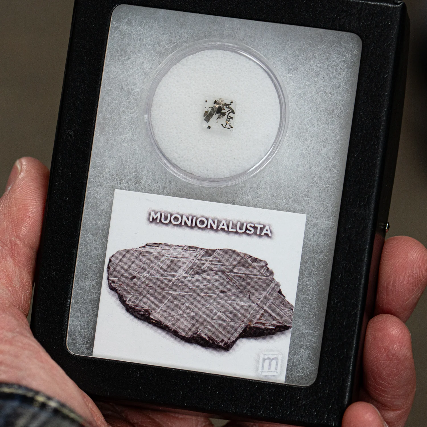 Muonionalusta Meteorite - Extraterrestrial Metal Fragments - Image 3