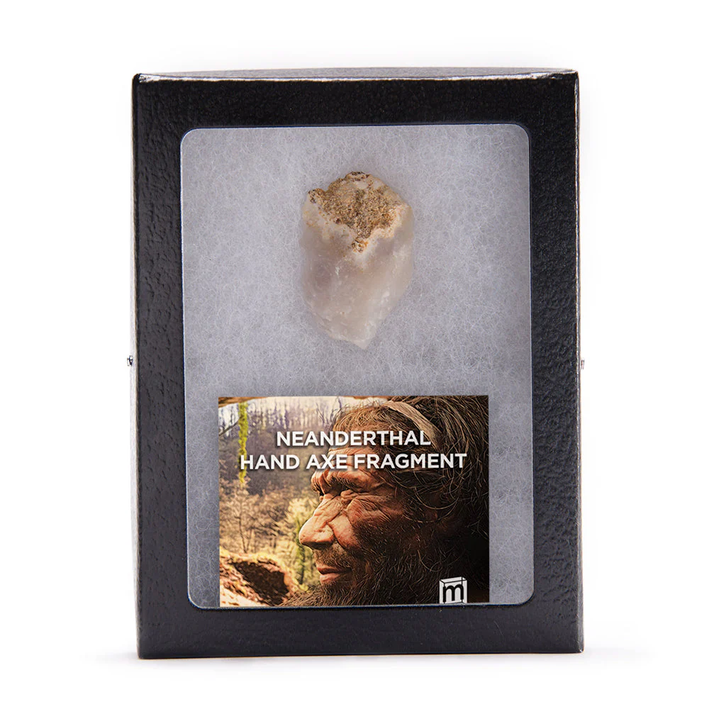Neanderthal Classic Riker Box Stone Tool Fragment - Image 3