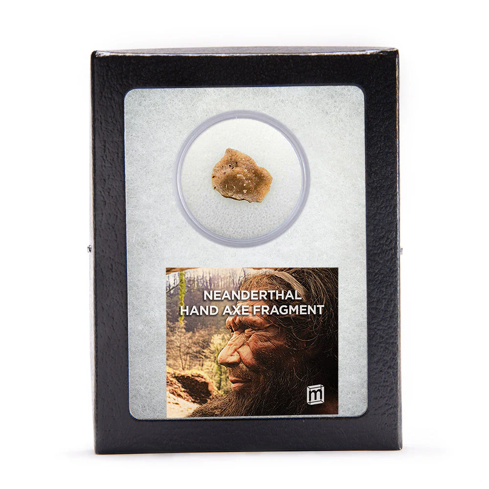 Neanderthal Classic Riker Box Stone Tool Fragment - Image 4