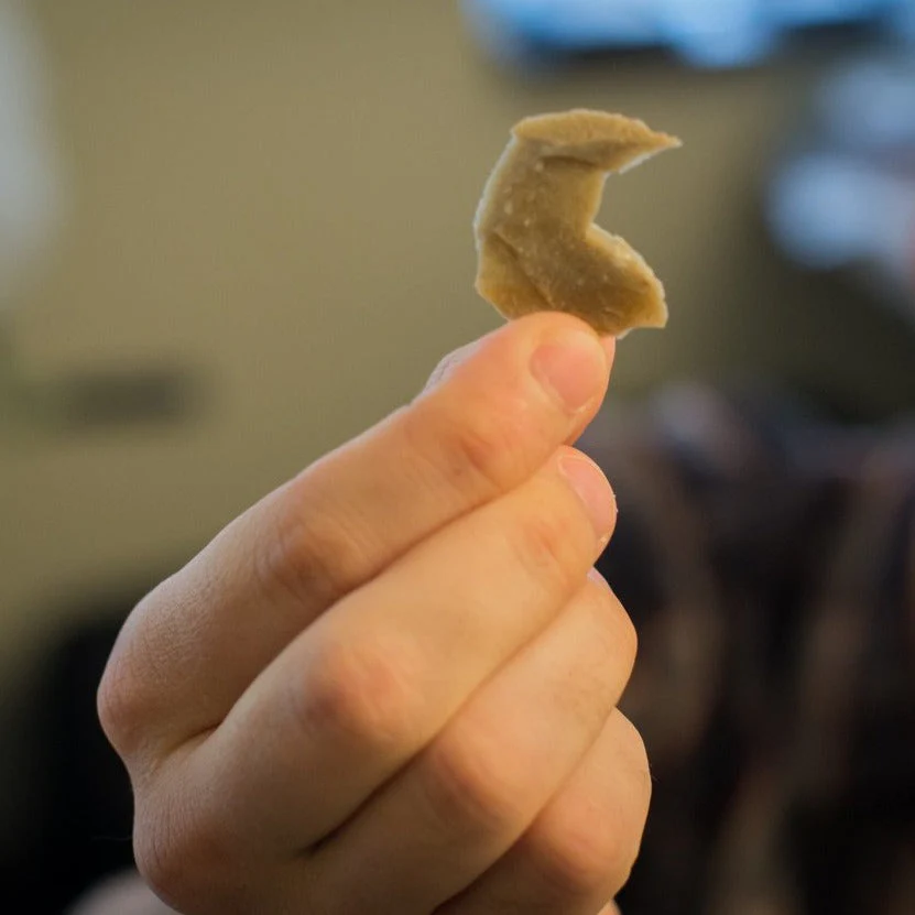 Neanderthal Classic Riker Box Stone Tool Fragment - Image 7