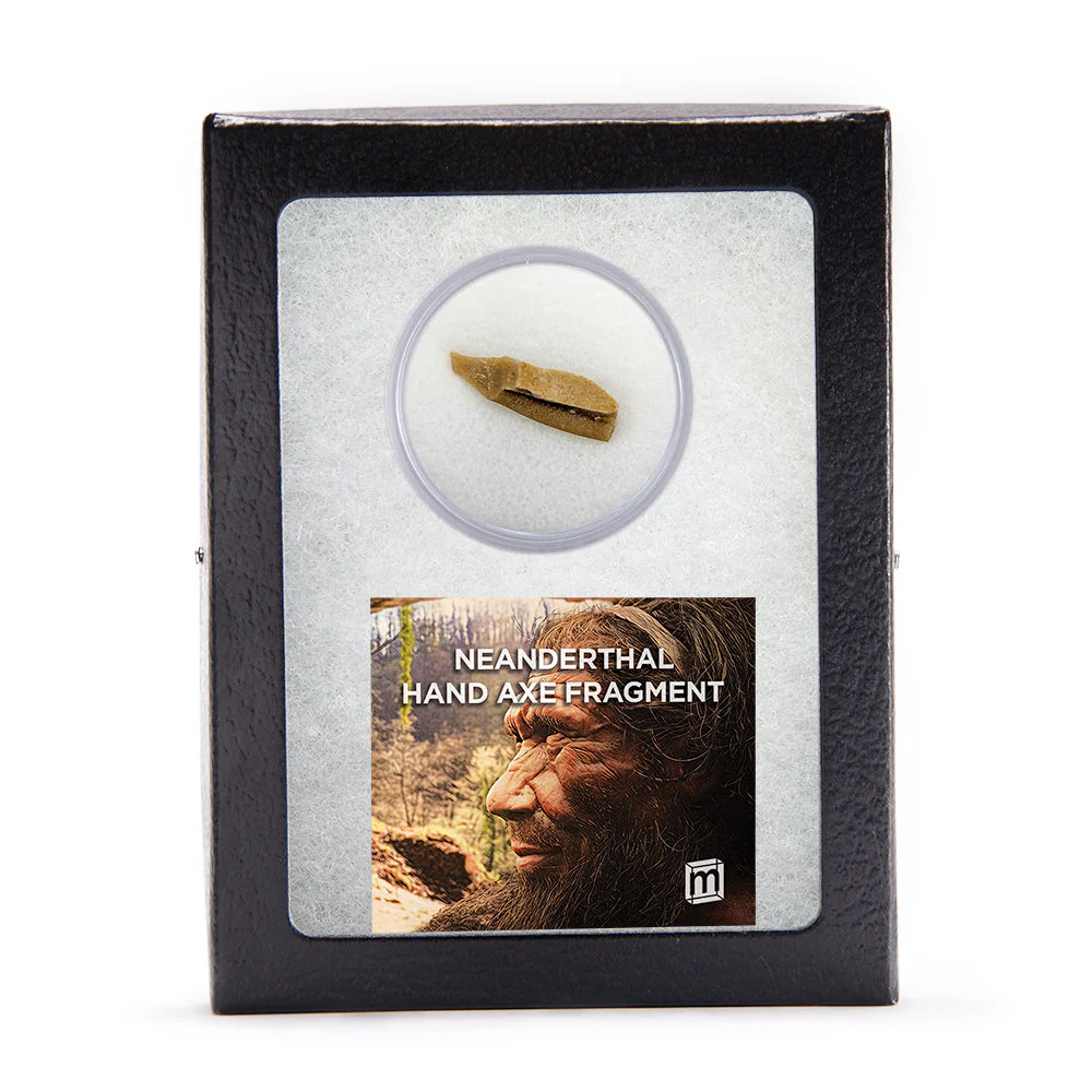 Neanderthal Classic Riker Box Stone Tool Fragment - Image 8