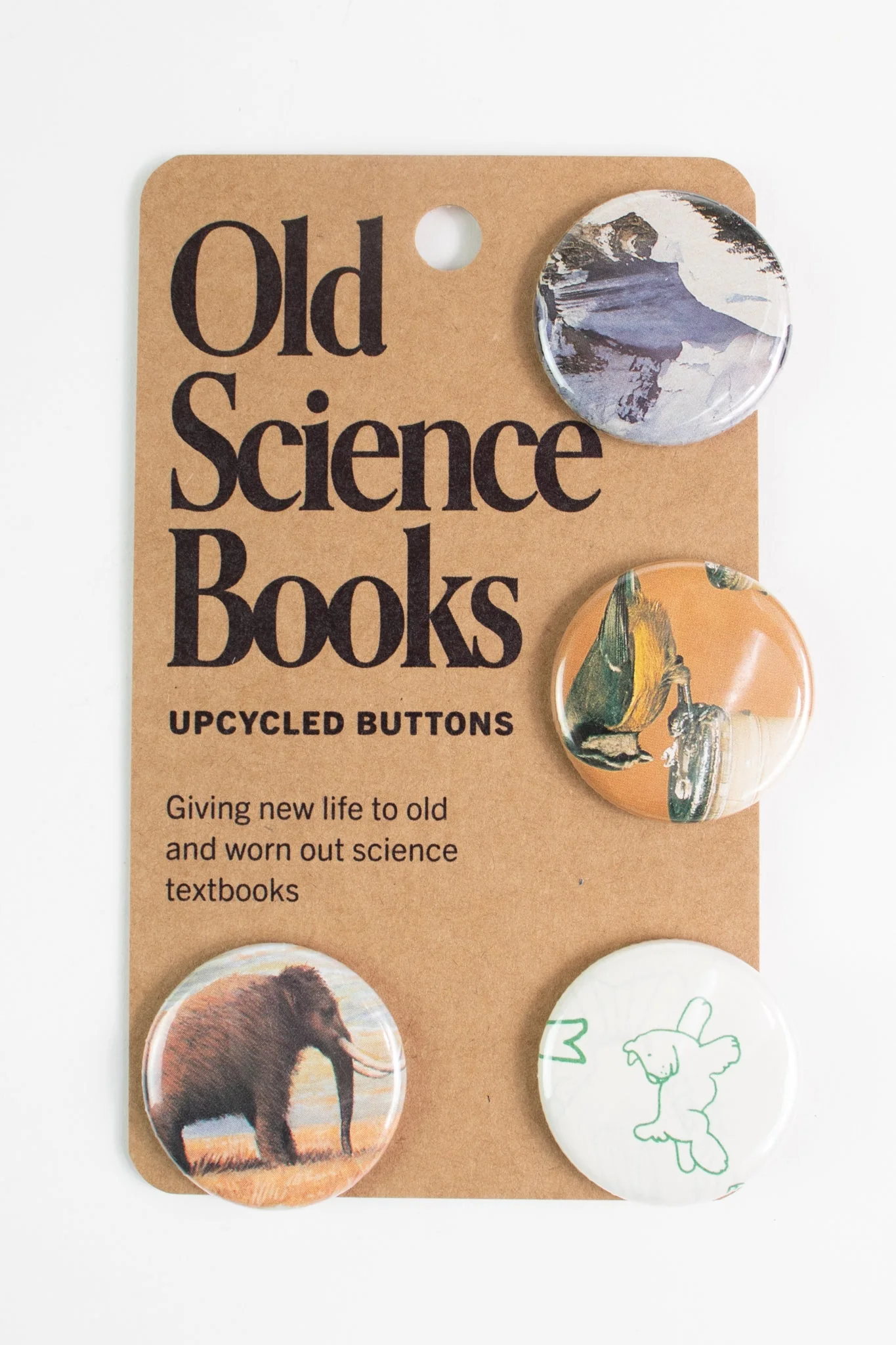 Old Science Books: Upcycled Buttons - Unique Set of 4 - Image 2