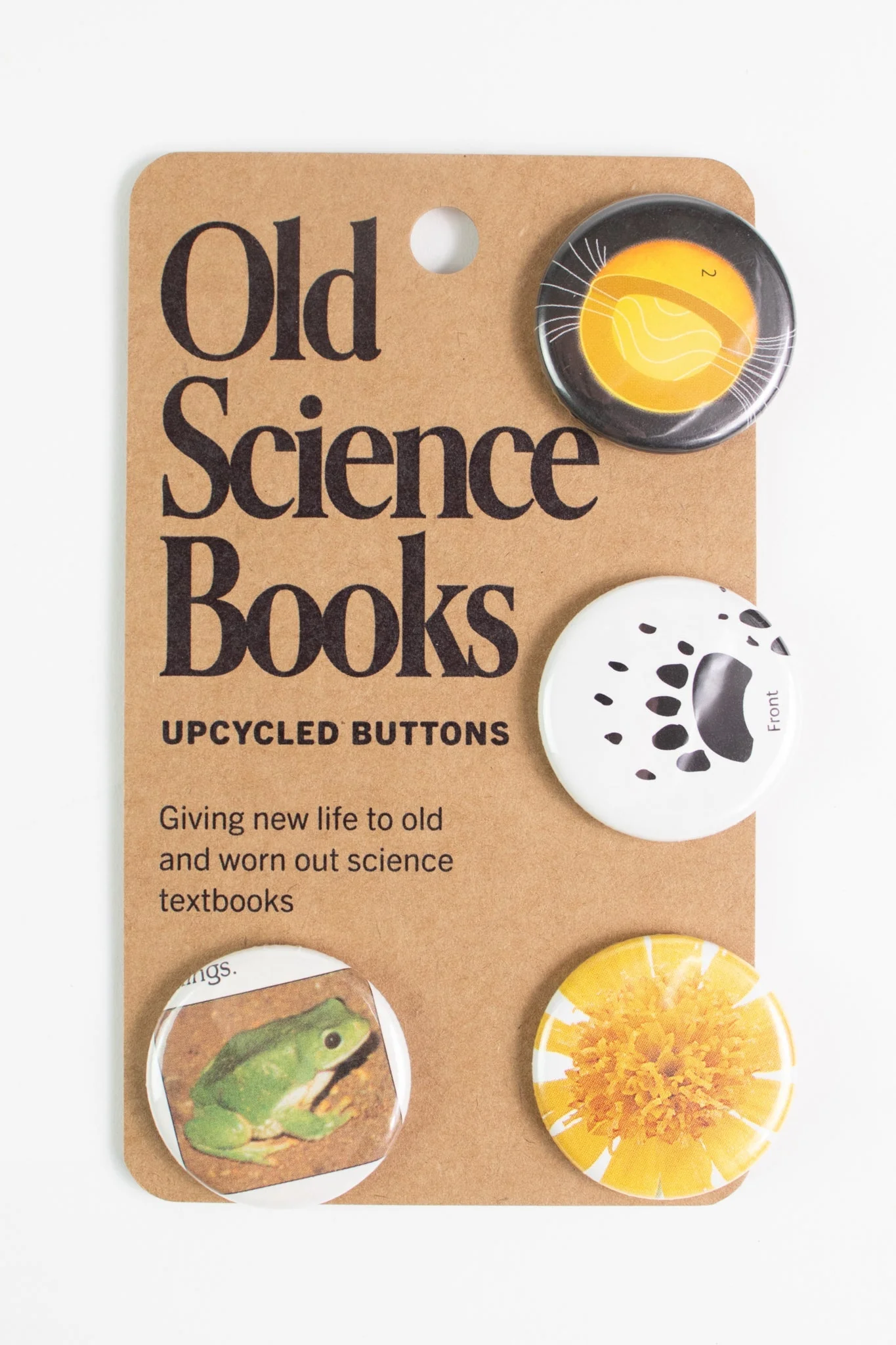Old Science Books: Upcycled Buttons - Unique Set of 4 - Image 4