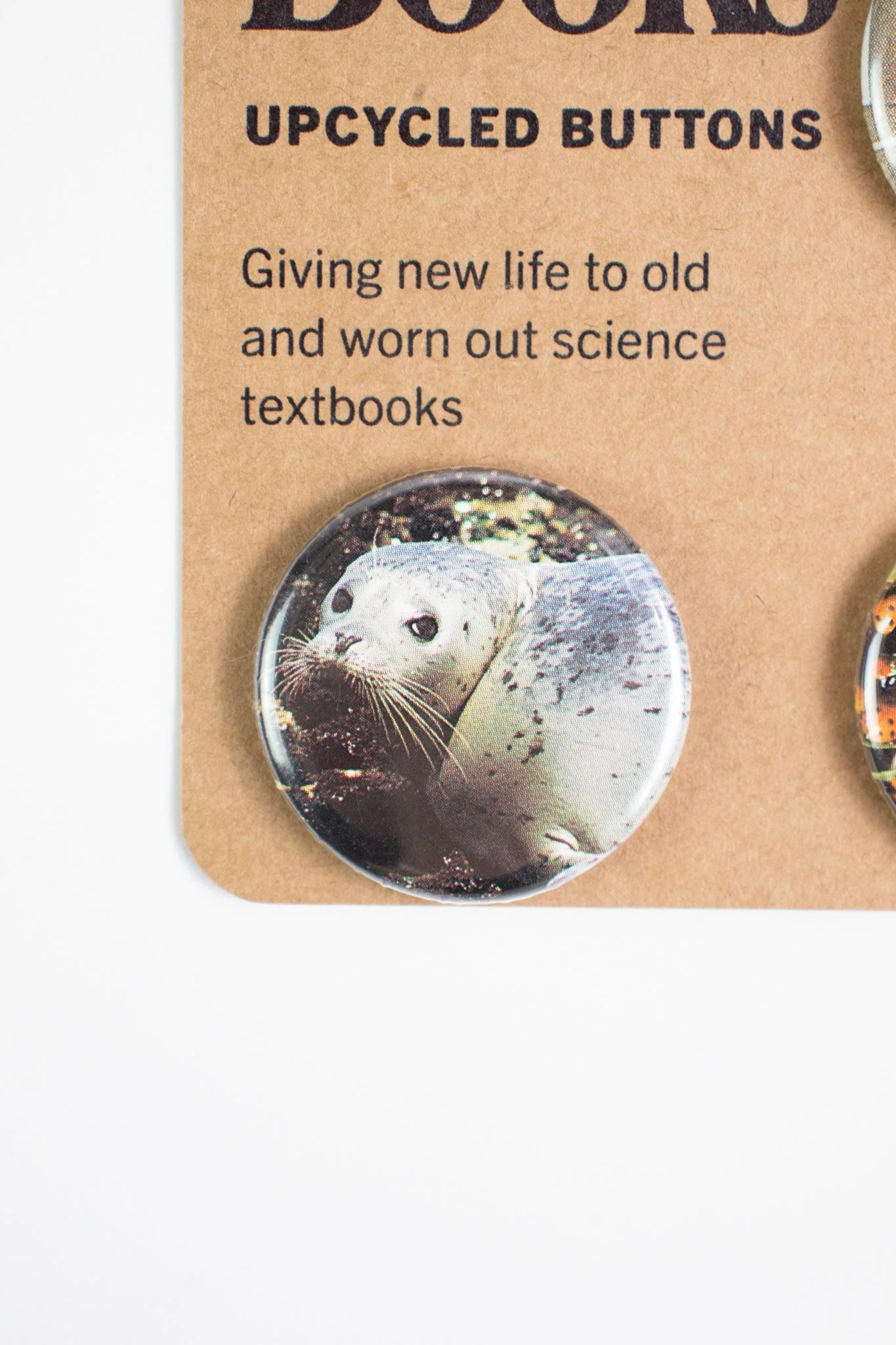 Old Science Books: Upcycled Buttons - Unique Set of 4 - Image 5